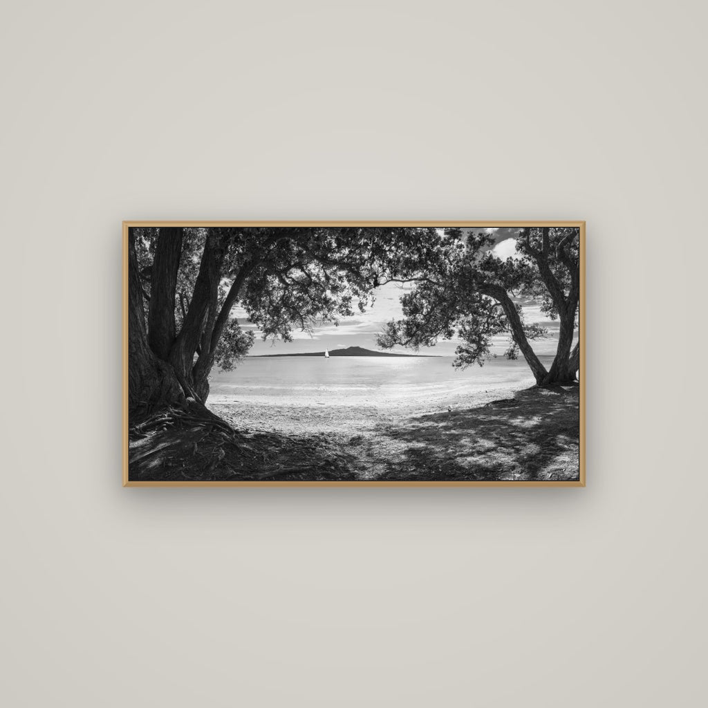 Auckland's Canvas, Pōhutukawa Symphony, Basel Natural Oak, 107×60 cm. New Zealand fine art wall art by Stephen Milner.