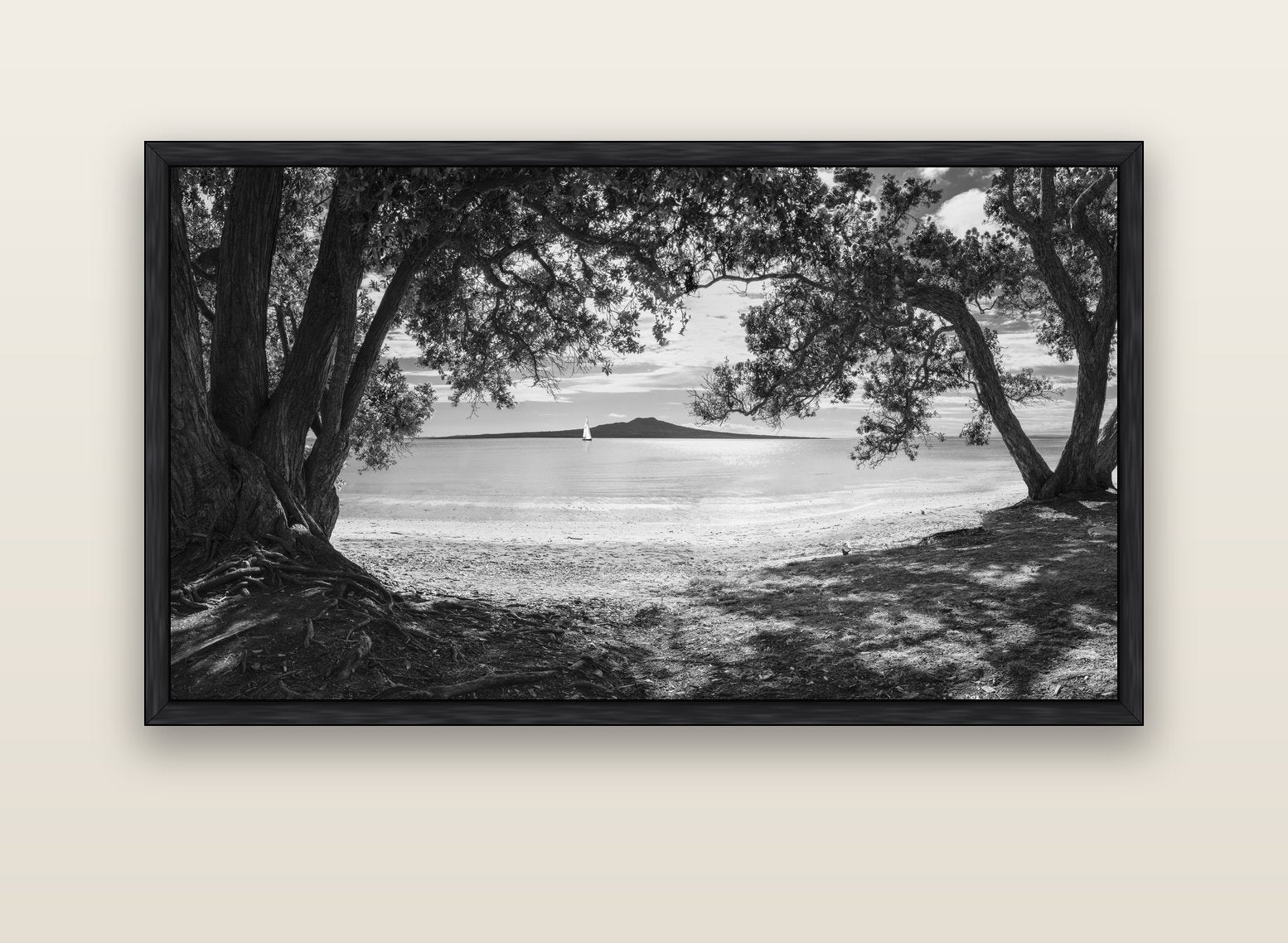 Auckland's Canvas, Pōhutukawa Symphony — black float frame canvas, 152 × 86 cm. New Zealand fine art landscape wall art by Stephen Milner.