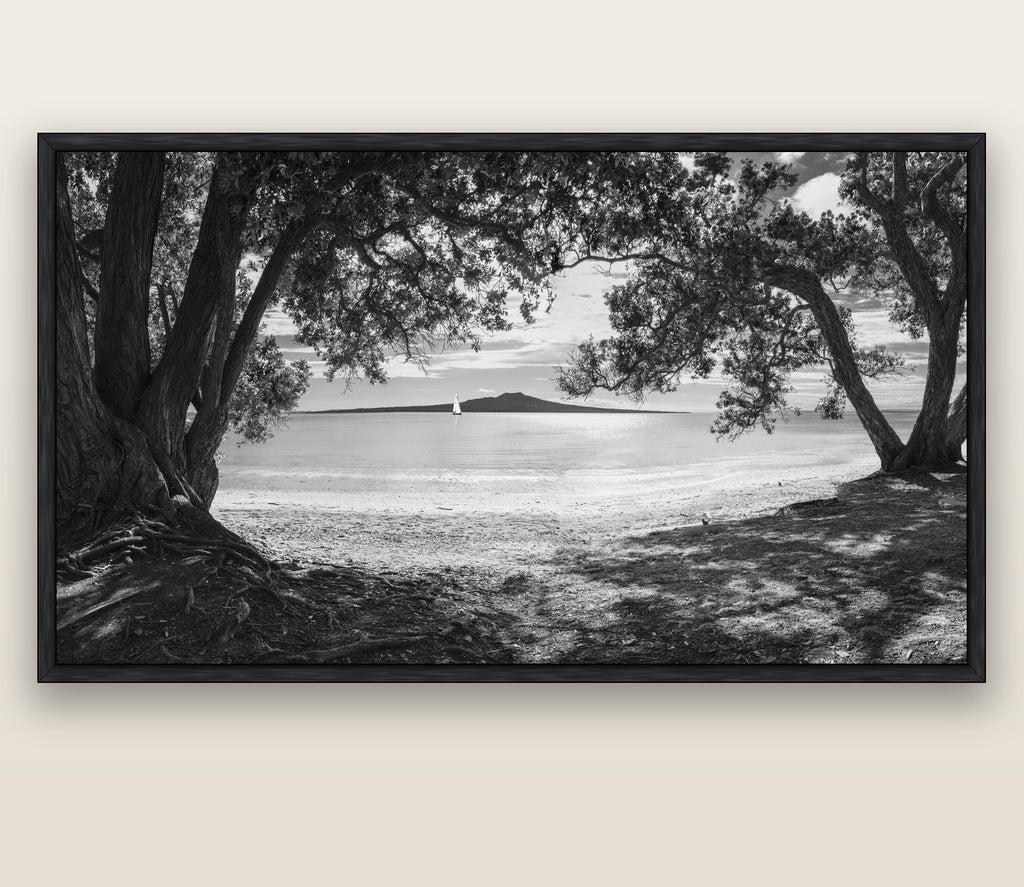 Auckland's Canvas, Pōhutukawa Symphony — black float frame canvas, 200 × 130 cm. New Zealand fine art landscape wall art by Stephen Milner.