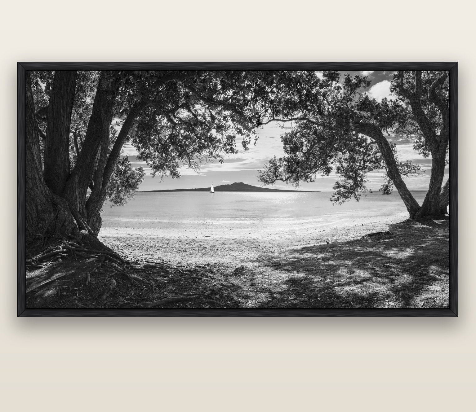Auckland's Canvas, Pōhutukawa Symphony — black float frame canvas, 200 × 130 cm. New Zealand fine art landscape wall art by Stephen Milner.