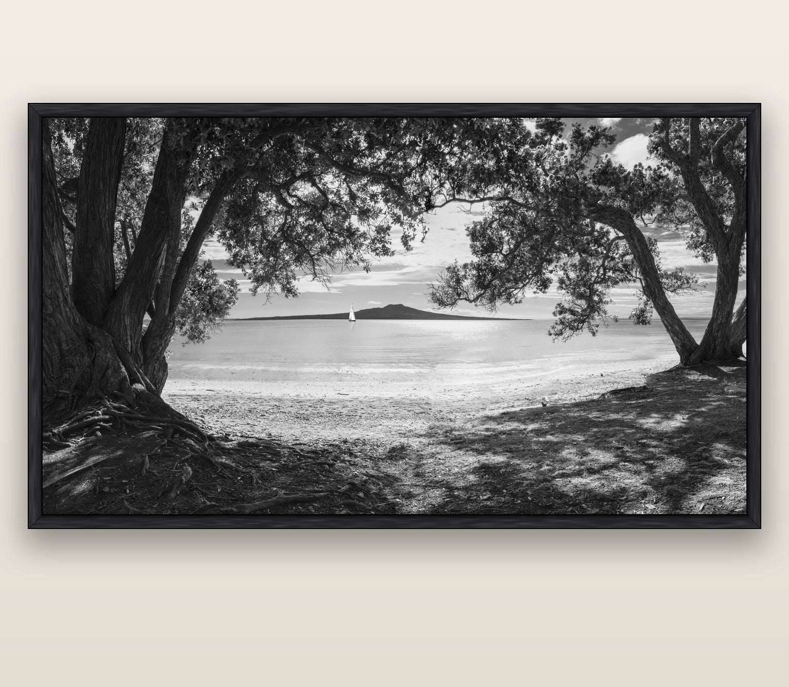 Auckland's Canvas, Pōhutukawa Symphony — black float frame canvas, 201 × 99 cm. New Zealand fine art landscape wall art by Stephen Milner.