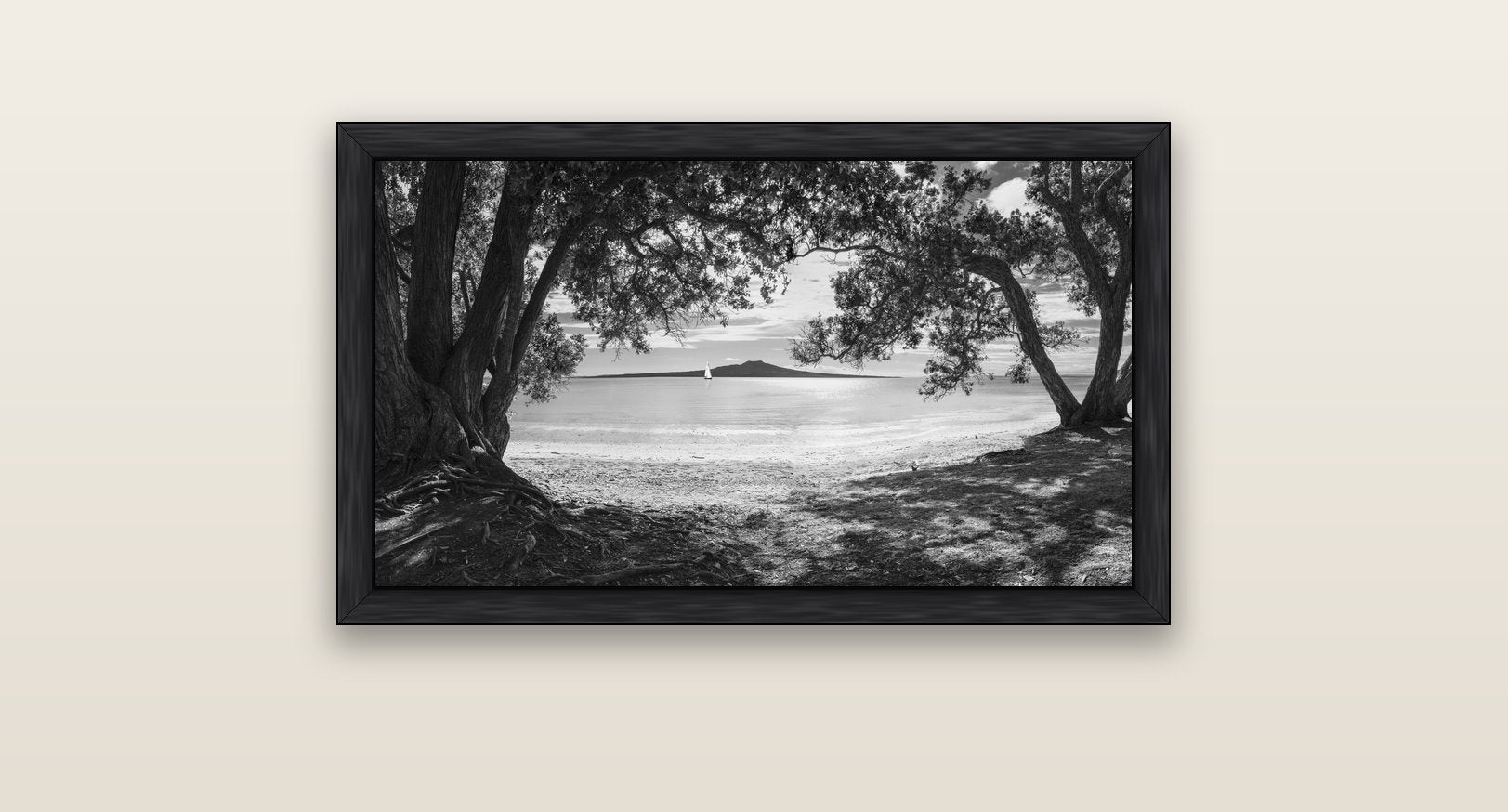 Auckland's Canvas, Pōhutukawa Symphony — black float frame canvas, 81 × 46 cm. New Zealand fine art landscape wall art by Stephen Milner.