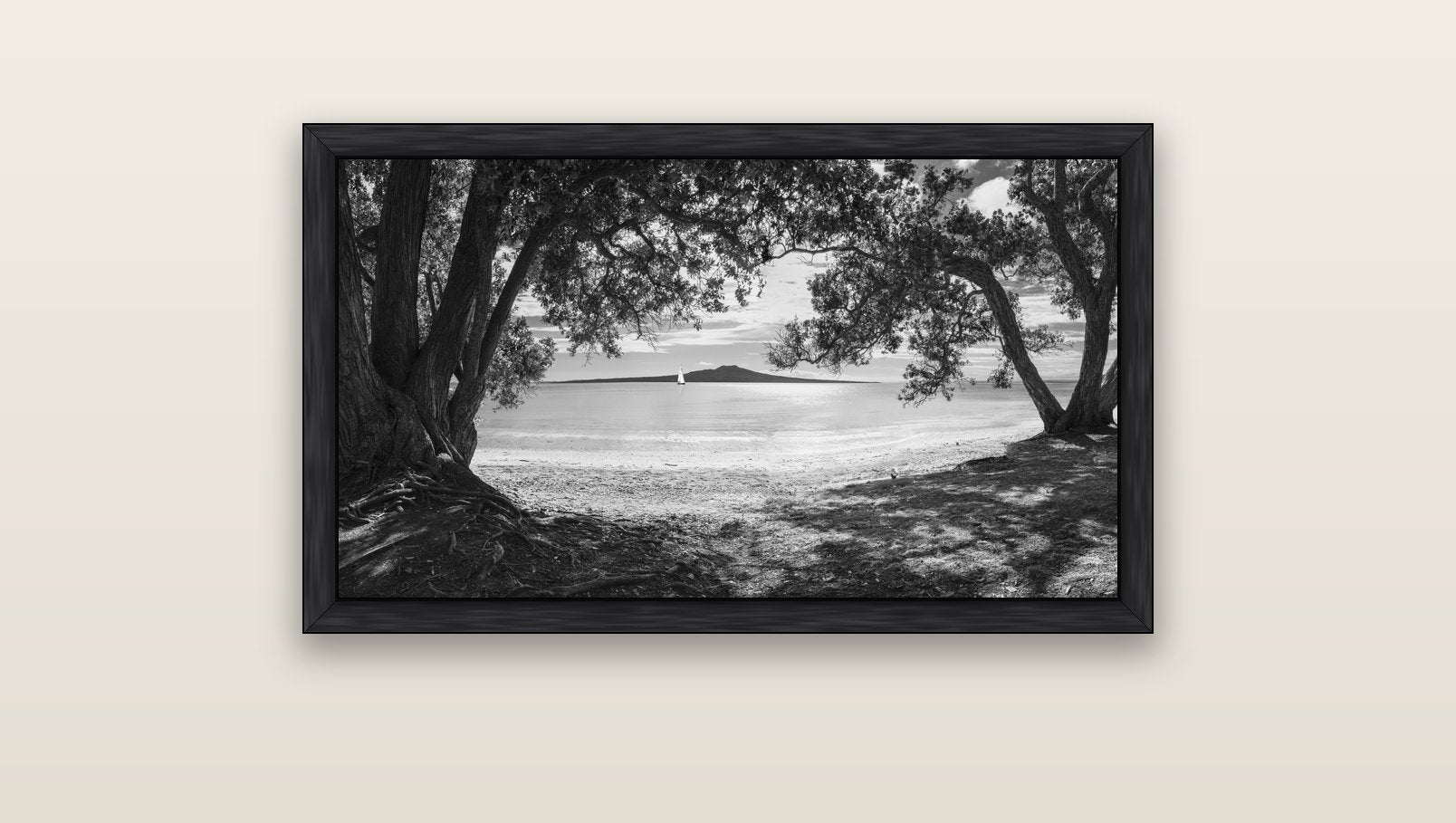 Auckland's Canvas, Pōhutukawa Symphony — black float frame canvas, 91 × 51 cm. New Zealand fine art landscape wall art by Stephen Milner.