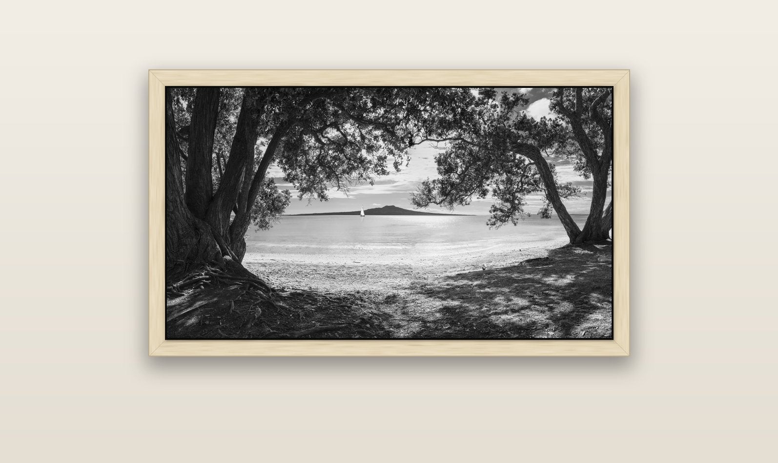Auckland's Canvas, Pōhutukawa Symphony — natural float frame canvas, 102 × 56 cm. New Zealand fine art landscape wall art by Stephen Milner.