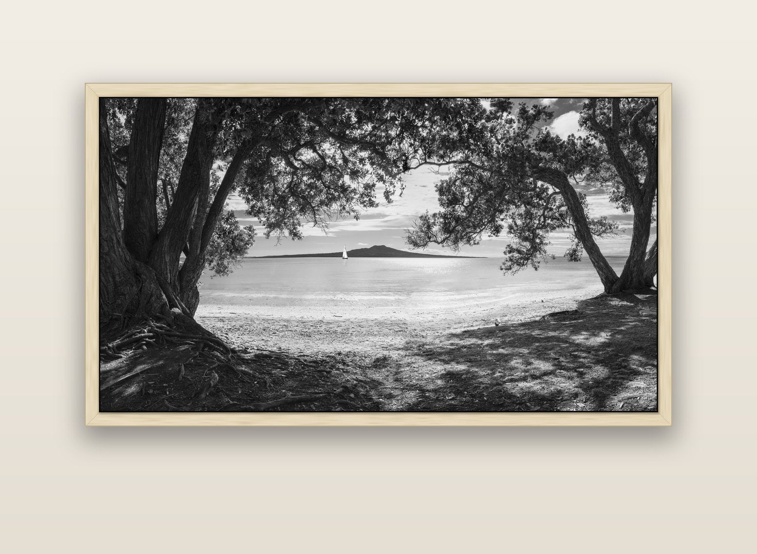 Auckland's Canvas, Pōhutukawa Symphony — natural float frame canvas, 152 × 86 cm. New Zealand fine art landscape wall art by Stephen Milner.