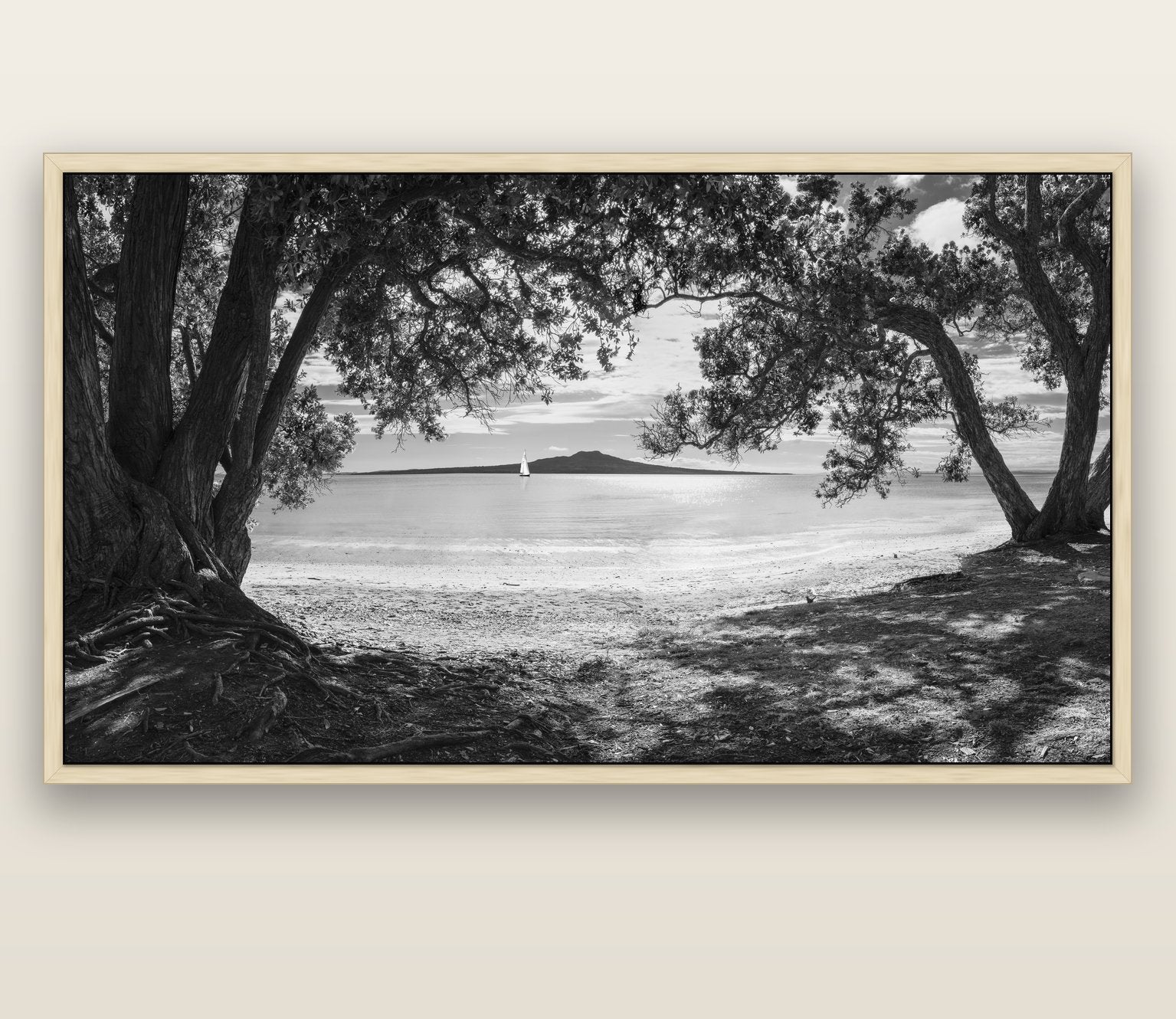 Auckland's Canvas, Pōhutukawa Symphony — natural float frame canvas, 200 × 130 cm. New Zealand fine art landscape wall art by Stephen Milner.