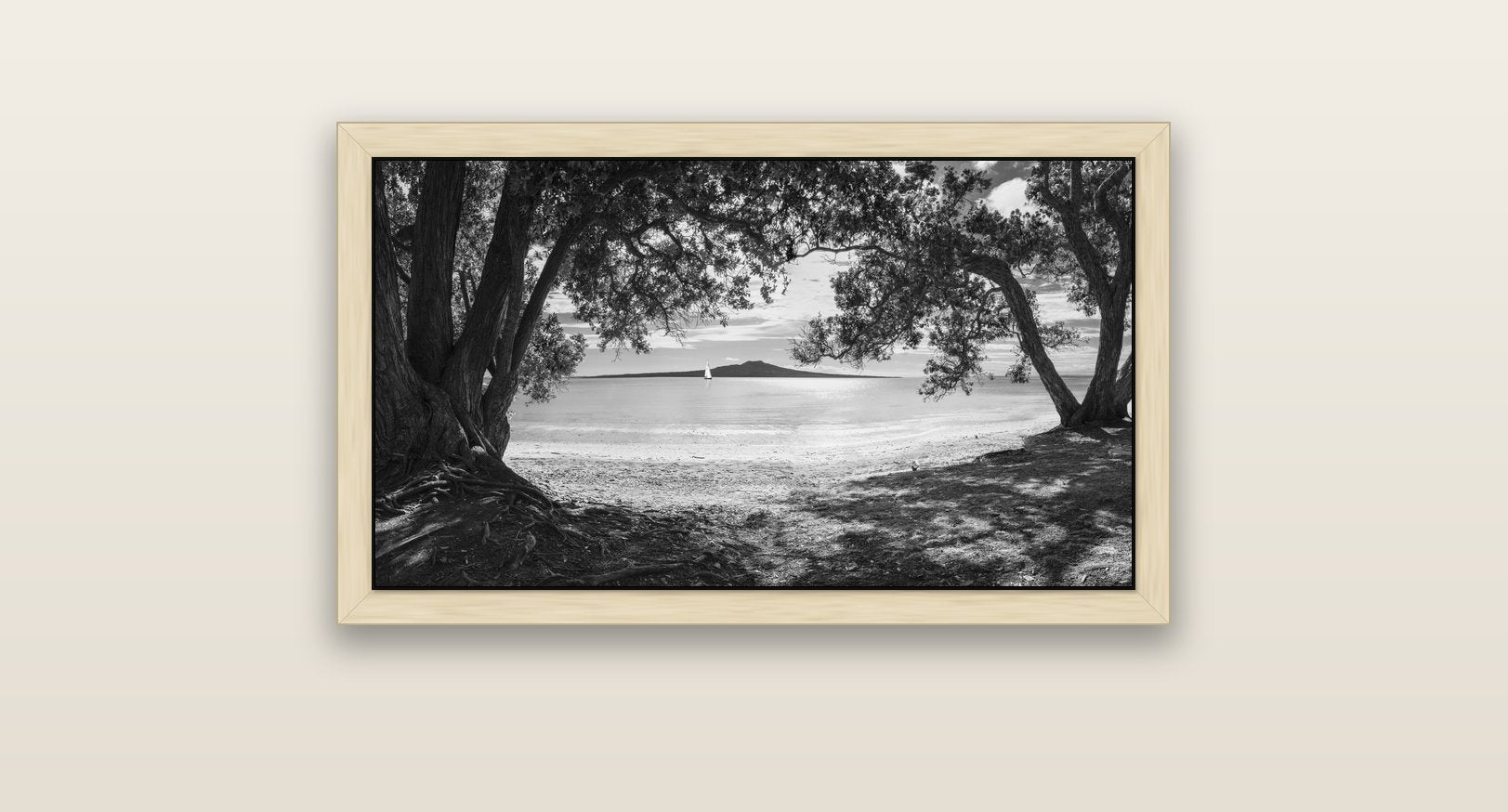 Auckland's Canvas, Pōhutukawa Symphony — natural float frame canvas, 81 × 46 cm. New Zealand fine art landscape wall art by Stephen Milner.