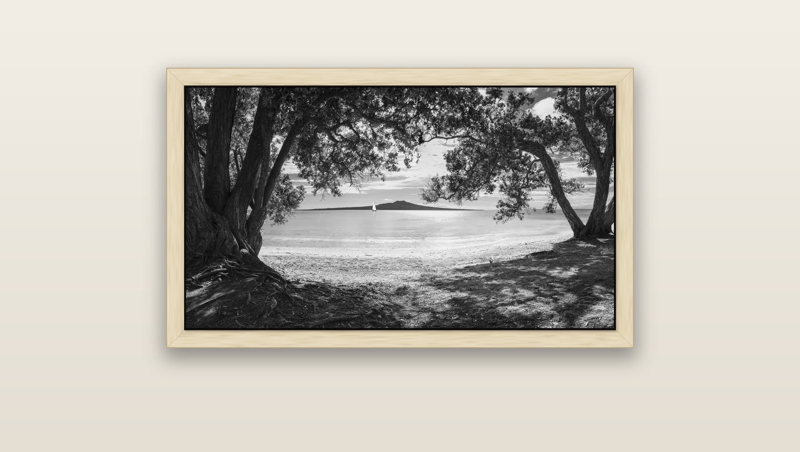 Auckland's Canvas, Pōhutukawa Symphony — natural float frame canvas, 91 × 51 cm. New Zealand fine art landscape wall art by Stephen Milner.