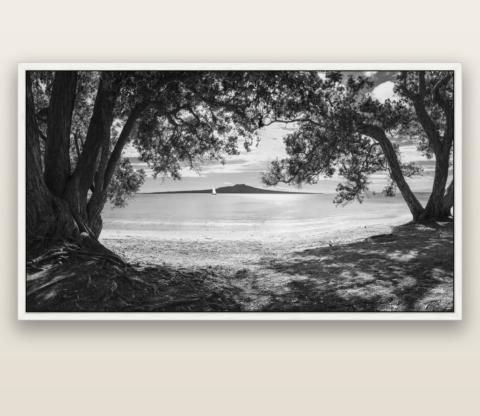 Auckland's Canvas, Pōhutukawa Symphony — white float frame canvas, 200 × 130 cm. New Zealand fine art landscape wall art by Stephen Milner.