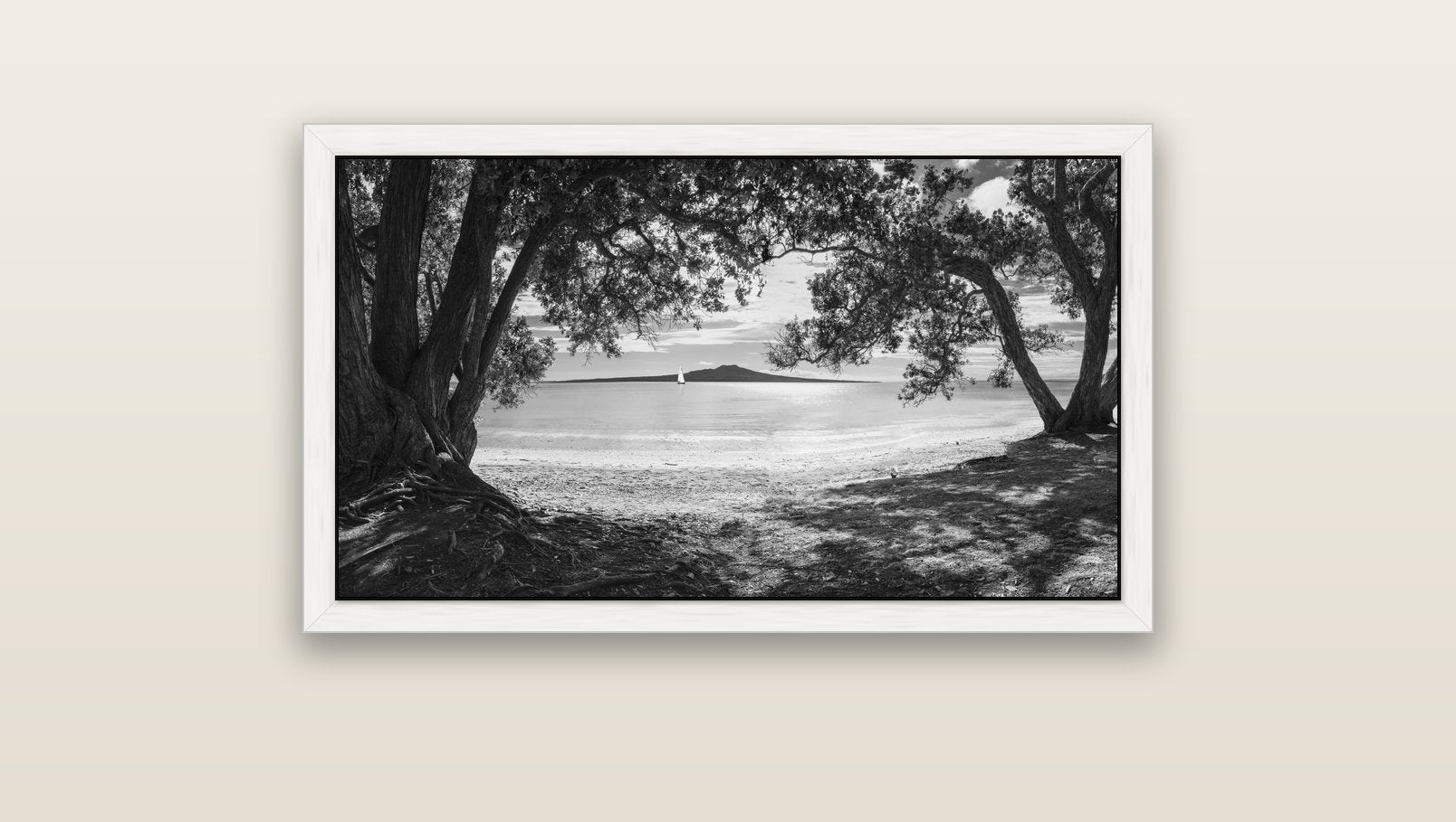 Auckland's Canvas, Pōhutukawa Symphony — white float frame canvas, 91 × 51 cm. New Zealand fine art landscape wall art by Stephen Milner.