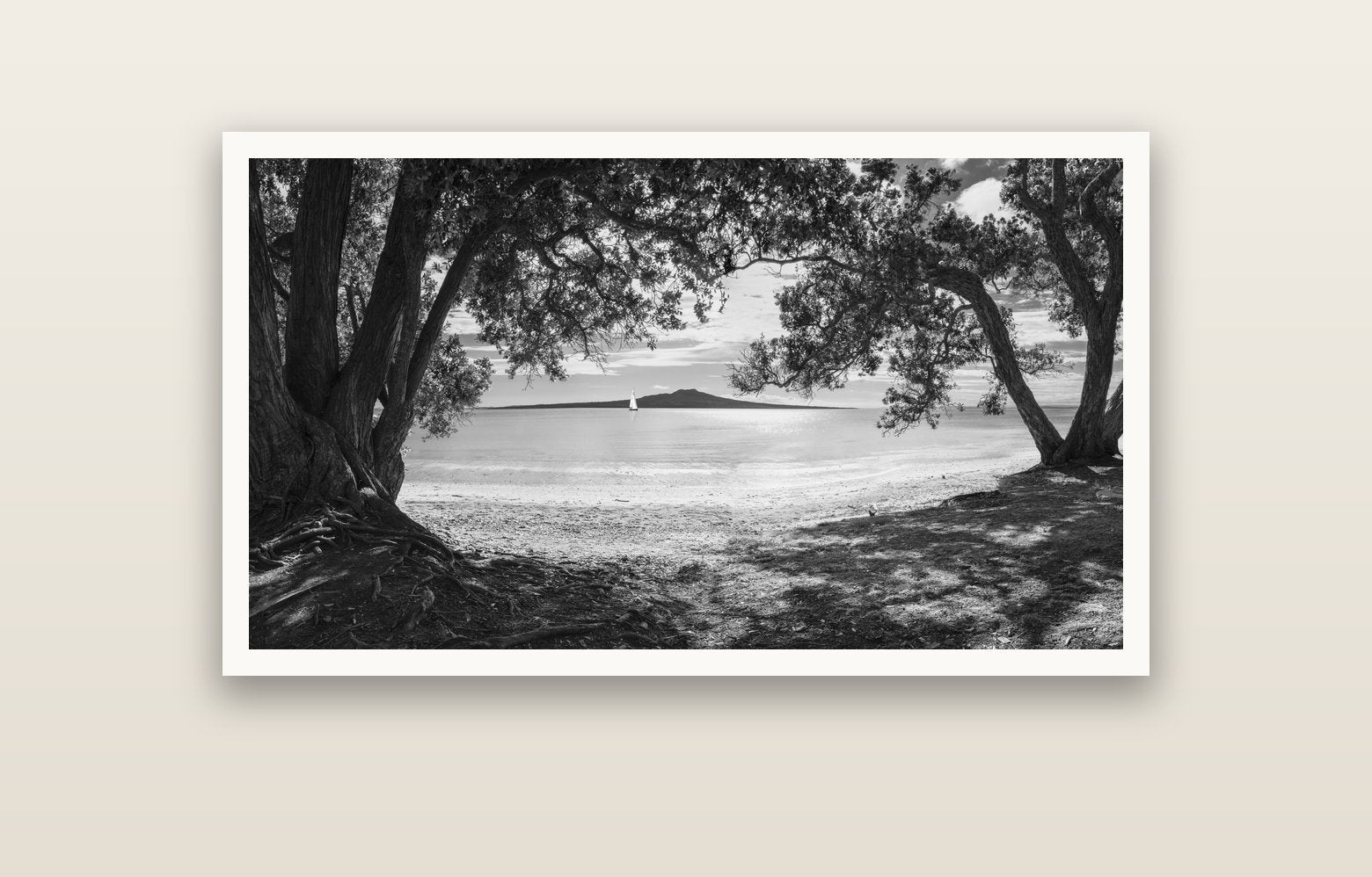 Auckland's Canvas, Pōhutukawa Symphony — Hahnemühle fine art print, 120 × 70 cm. New Zealand fine art landscape photography by Stephen Milner.