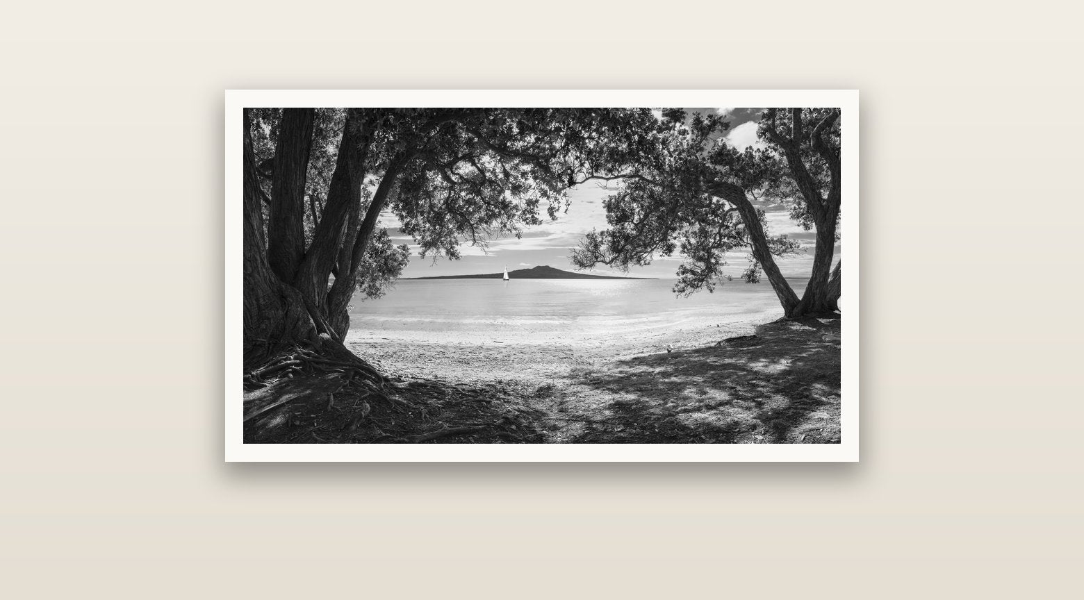 Auckland's Canvas, Pōhutukawa Symphony — Hahnemühle fine art print, 91 × 51 cm. New Zealand fine art landscape photography by Stephen Milner.