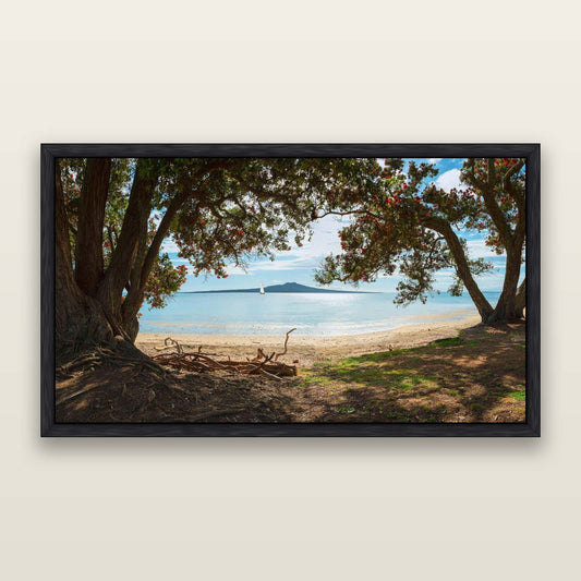 Auckland's Christmas Canvas, Pōhutukawa Symphony — framed metallic canvas print, Black frame. New Zealand fine art landscape wall art by Stephen Milner.