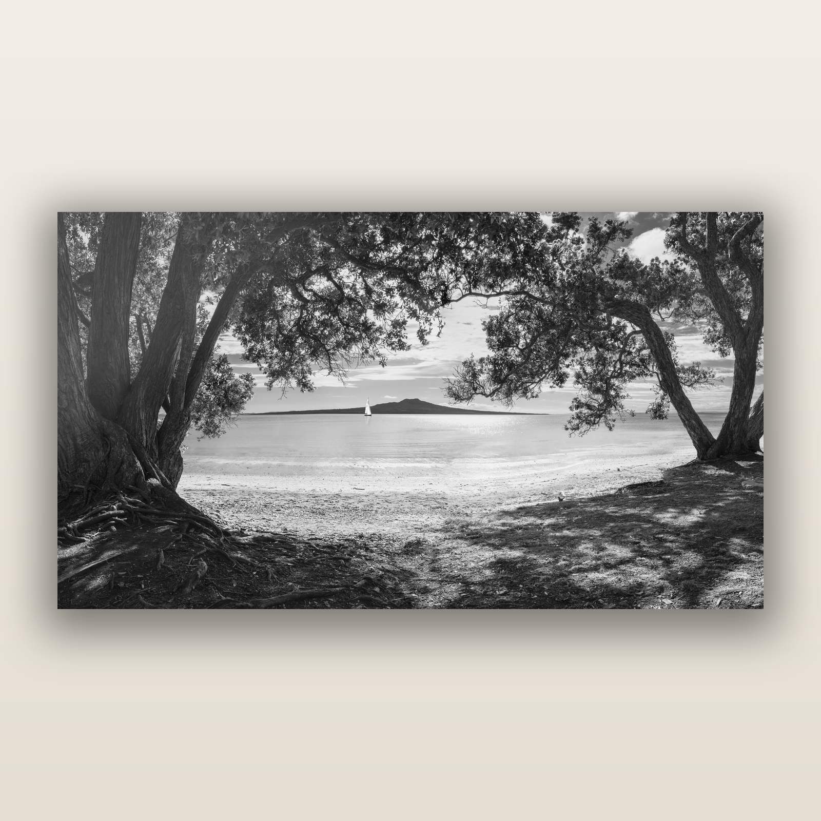 Auckland's Christmas Canvas, Pōhutukawa Symphony, black and white frameless acrylic glass print. New Zealand fine art photography by Stephen Milner.