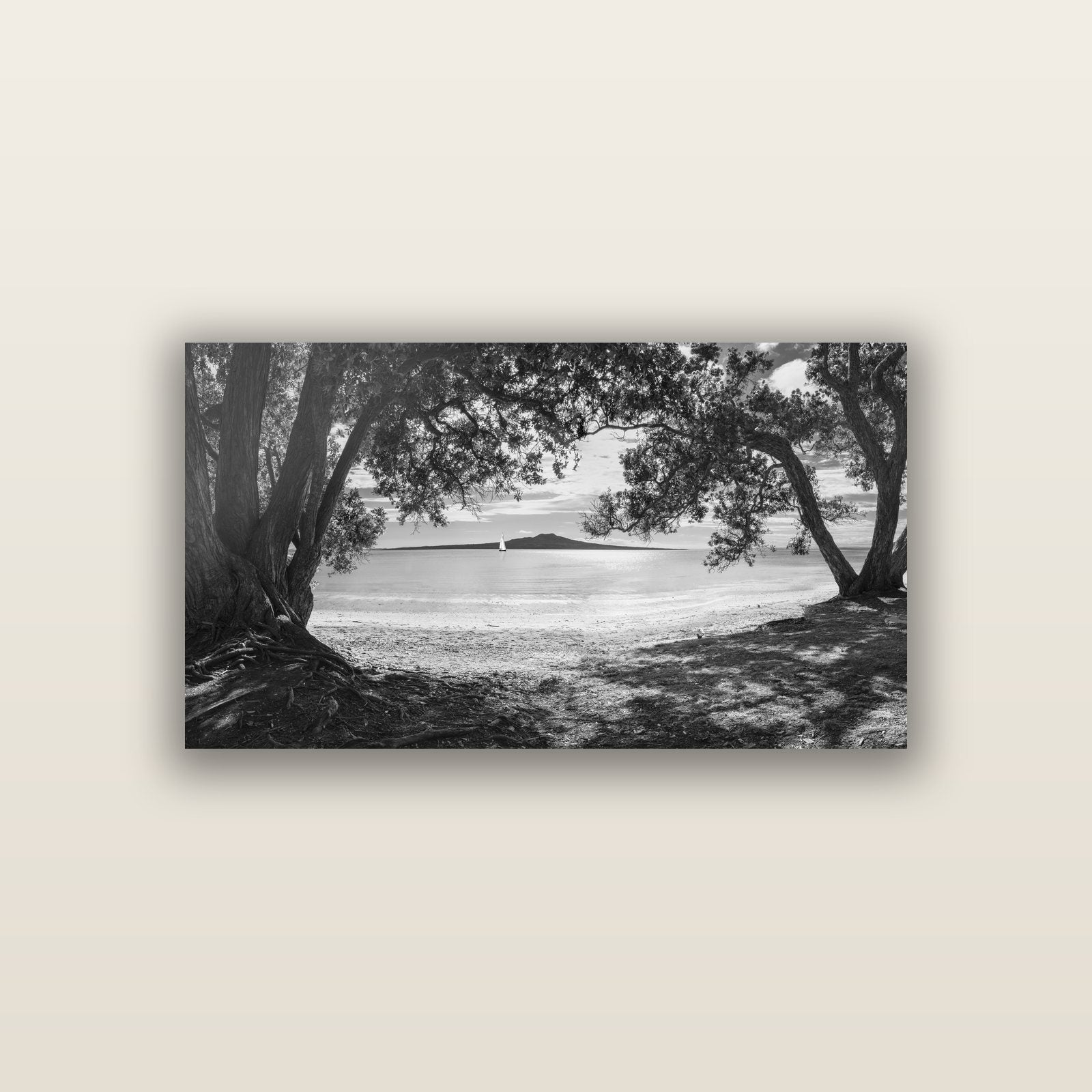 Auckland's Christmas Canvas, Pōhutukawa Symphony — acrylic panel print, small 76 × 38 cm. New Zealand fine art landscape wall art by Stephen Milner.