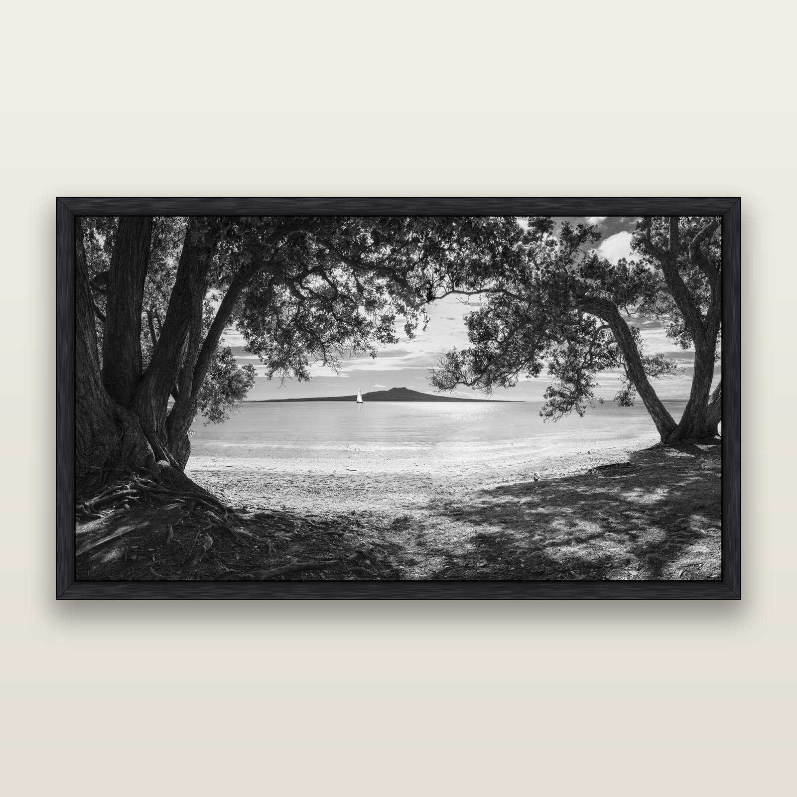 Auckland's Christmas Canvas, Pōhutukawa Symphony, black and white framed metallic canvas print, Black frame. New Zealand fine art wall art by Stephen Milner.
