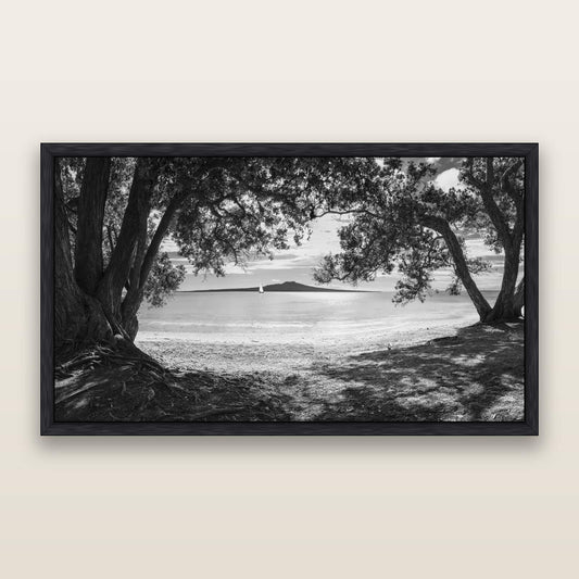 Auckland's Christmas Canvas, Pōhutukawa Symphony, black and white framed metallic canvas print, Black frame. New Zealand fine art wall art by Stephen Milner.
