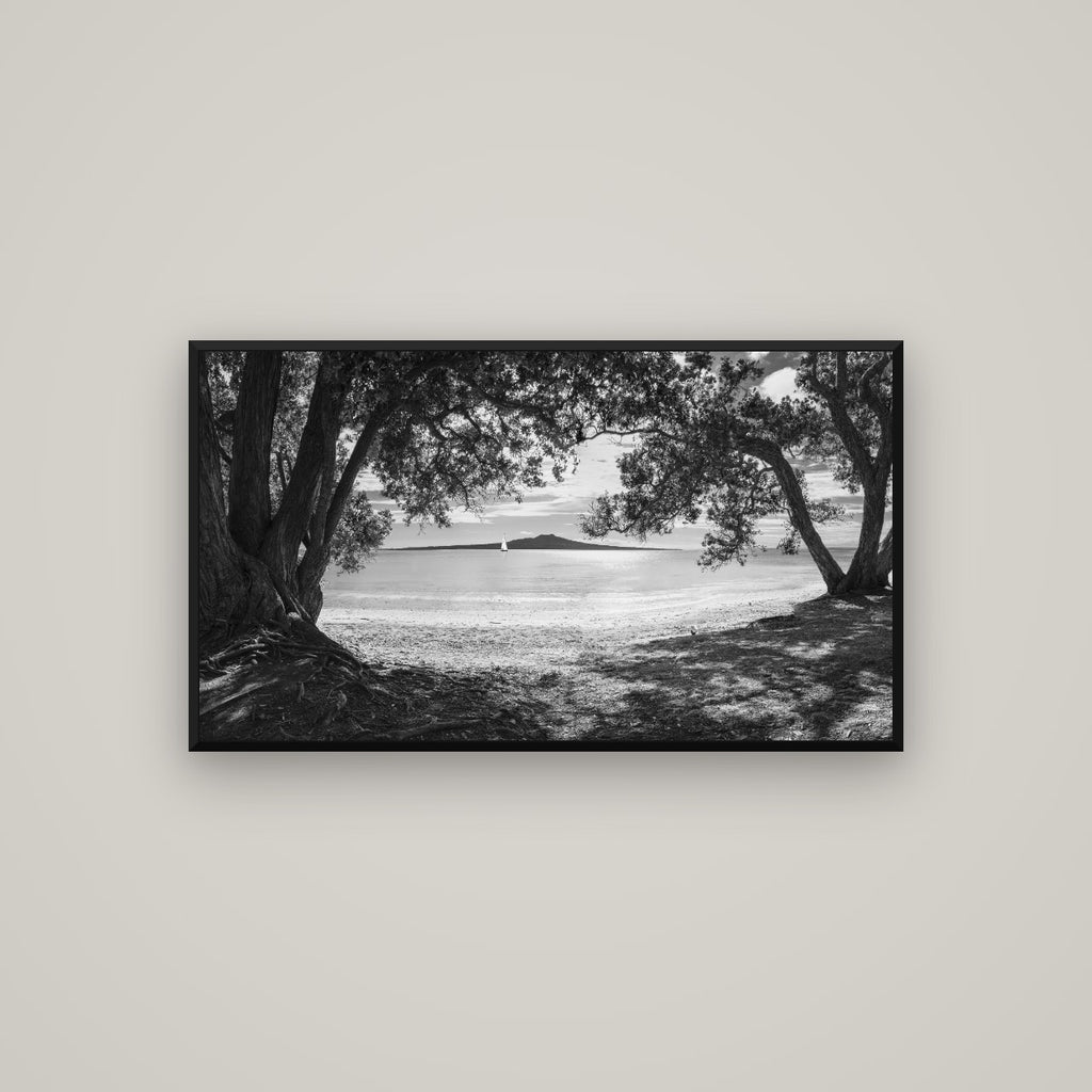 Auckland's Christmas Canvas, Pōhutukawa Symphony — Basel Black Matte, 107×60 cm. New Zealand fine art wall art by Stephen Milner.