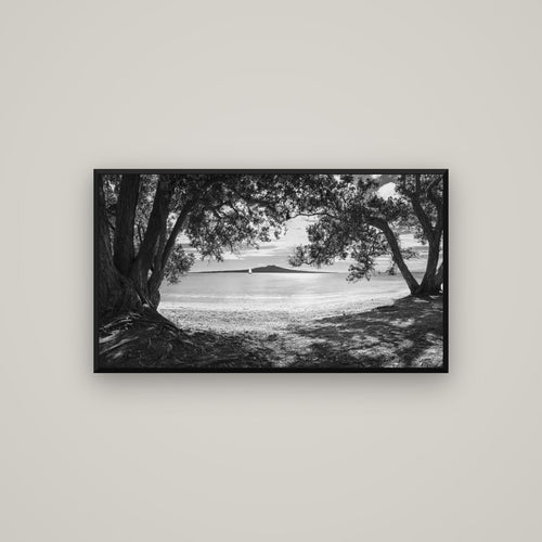 Auckland's Christmas Canvas, Pōhutukawa Symphony — Basel Black, 107×60 cm. New Zealand fine art wall art by Stephen Milner.