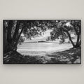 Auckland's Christmas Canvas, Pōhutukawa Symphony — Basel Black, 196×110 cm. New Zealand fine art wall art by Stephen Milner.