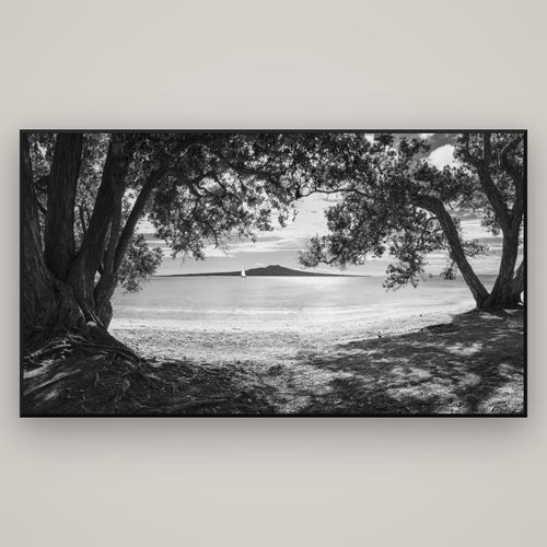 Auckland's Christmas Canvas, Pōhutukawa Symphony — Basel Black, 196×110 cm. New Zealand fine art wall art by Stephen Milner.