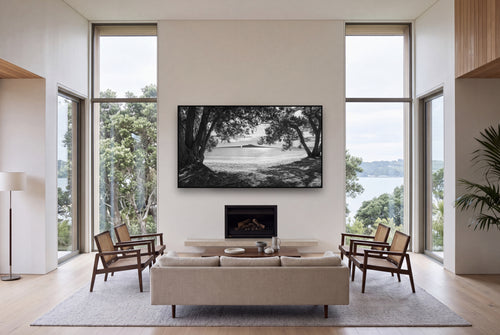 Auckland's Canvas, Pōhutukawa Symphony shown as large black and white wall art in a styled room, fine art by Stephen Milner.