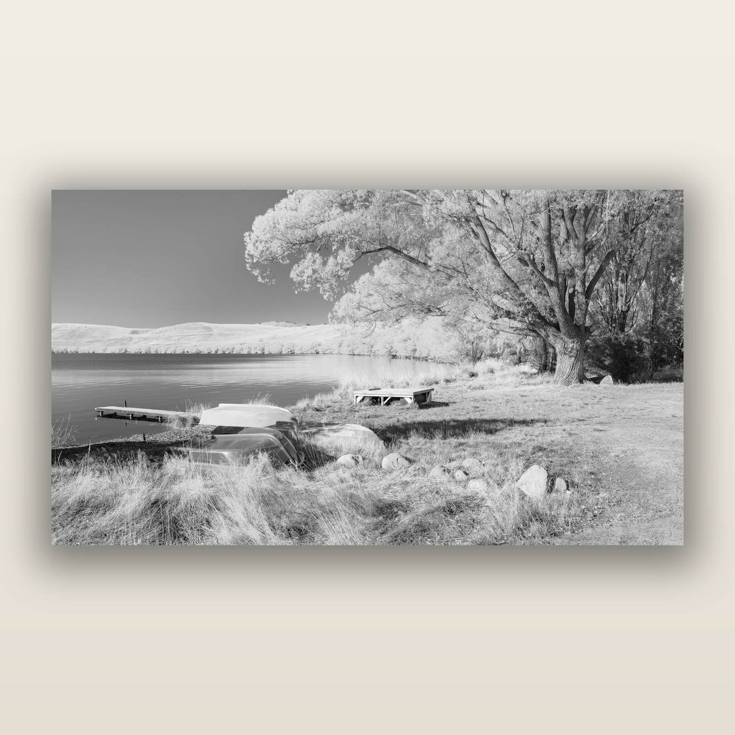 Beneath the Willows, Lake Alexandrina, black and white frameless acrylic glass print. New Zealand fine art photography by Stephen Milner.