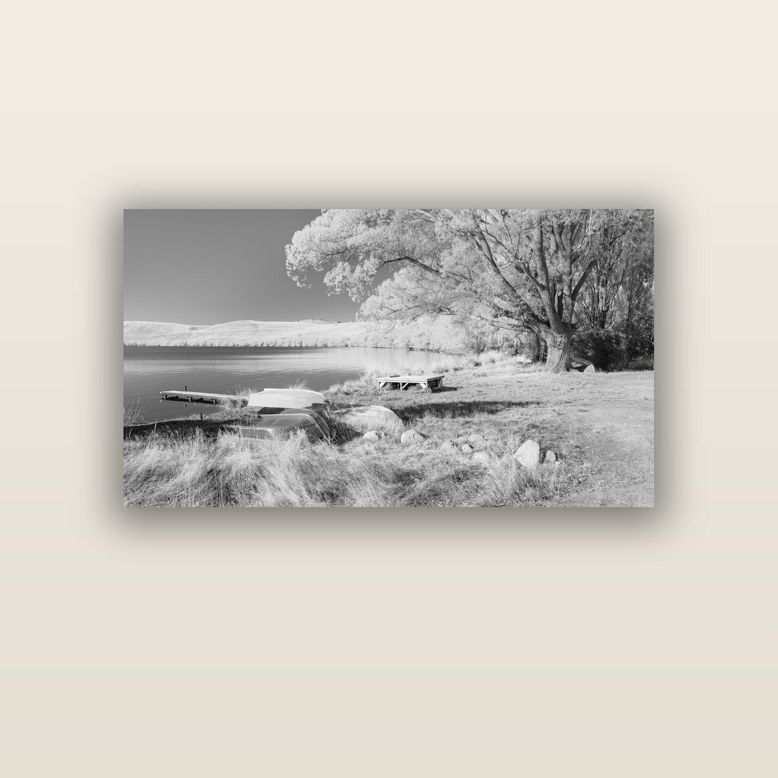 Beneath the Willows, Lake Alexandrina — acrylic glass print, 122 × 61 cm. New Zealand fine art landscape wall art by Stephen Milner.