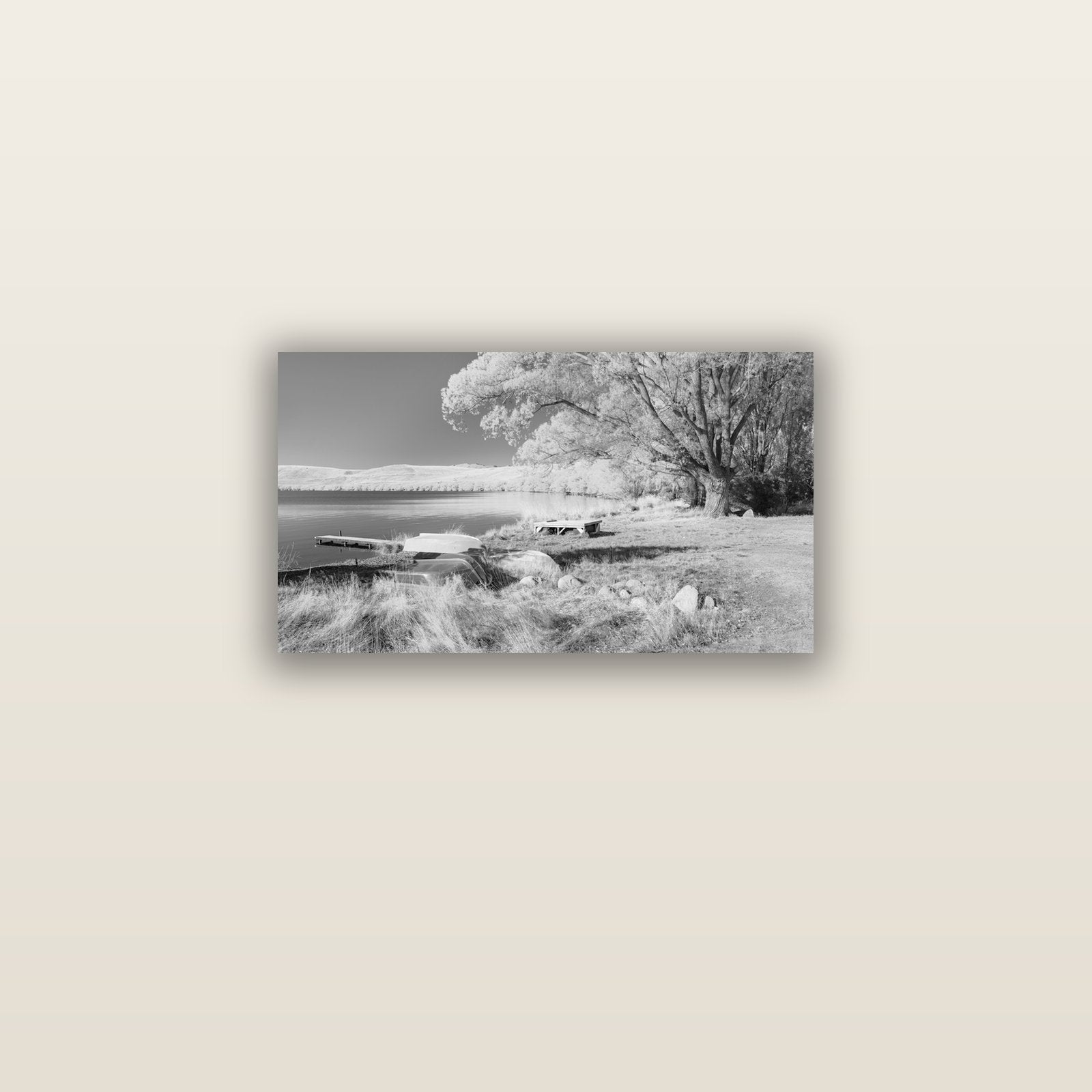 Beneath the Willows, Lake Alexandrina — acrylic glass print, 61 × 30 cm. New Zealand fine art landscape wall art by Stephen Milner.