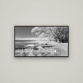 Beneath the Willows, Lake Alexandrina — Basel Black, 107×60 cm. New Zealand fine art wall art by Stephen Milner.