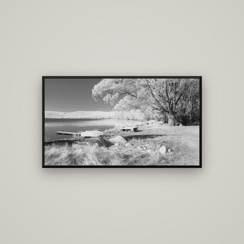 Beneath the Willows, Lake Alexandrina — Basel Black, 107×60 cm. New Zealand fine art wall art by Stephen Milner.