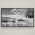 Beneath the Willows, Lake Alexandrina — Basel Black, 196×110 cm. New Zealand fine art wall art by Stephen Milner.