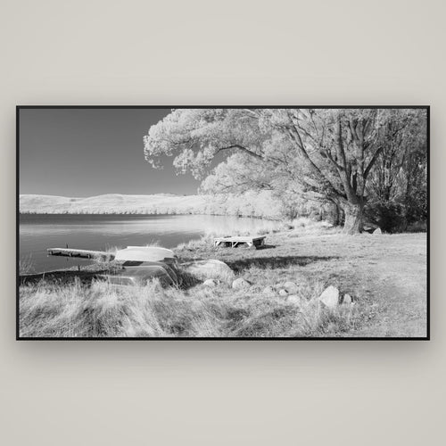 Beneath the Willows, Lake Alexandrina — Basel Black, 196×110 cm. New Zealand fine art wall art by Stephen Milner.