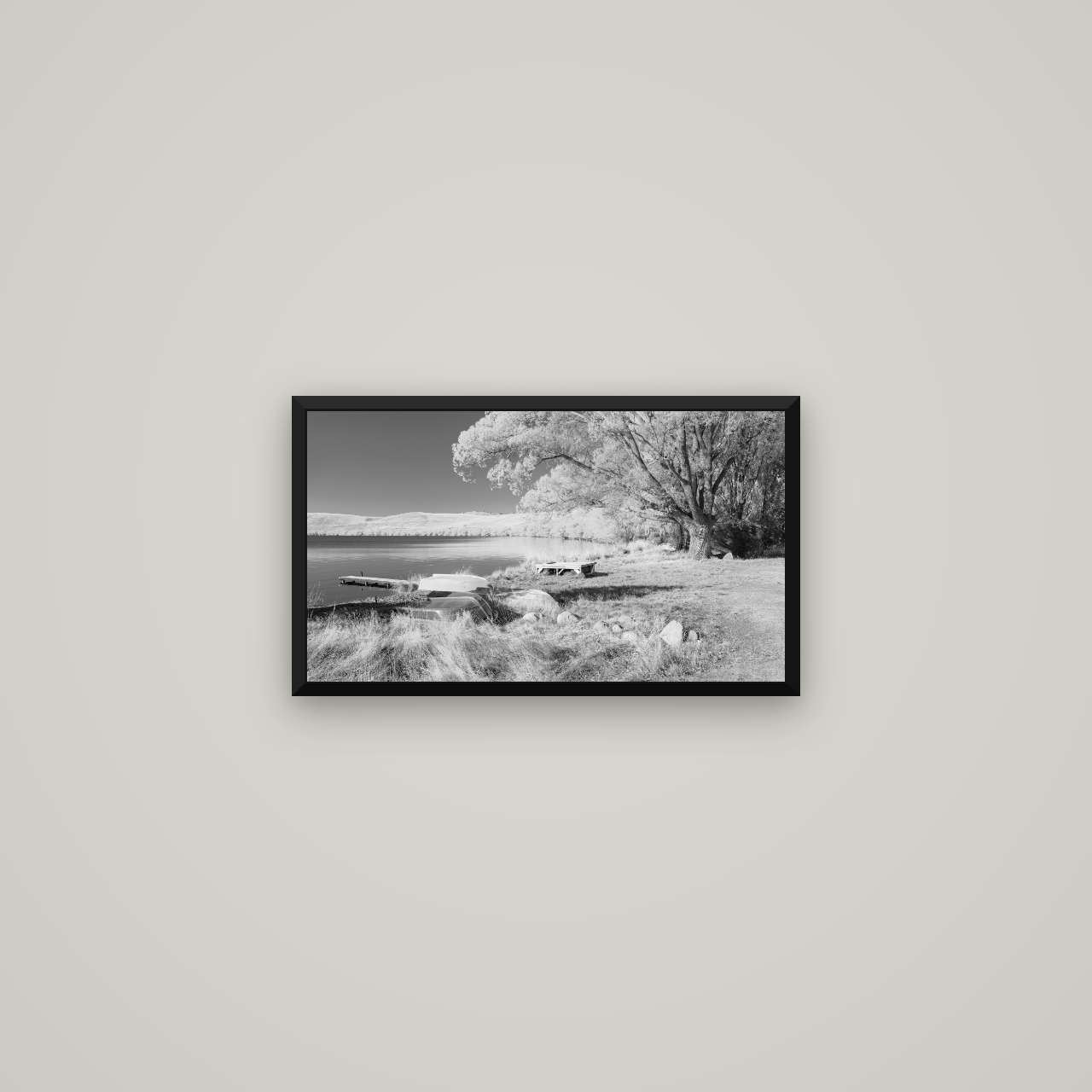 Beneath the Willows, Lake Alexandrina — Basel Black Matte, 53×30 cm. New Zealand fine art wall art by Stephen Milner.