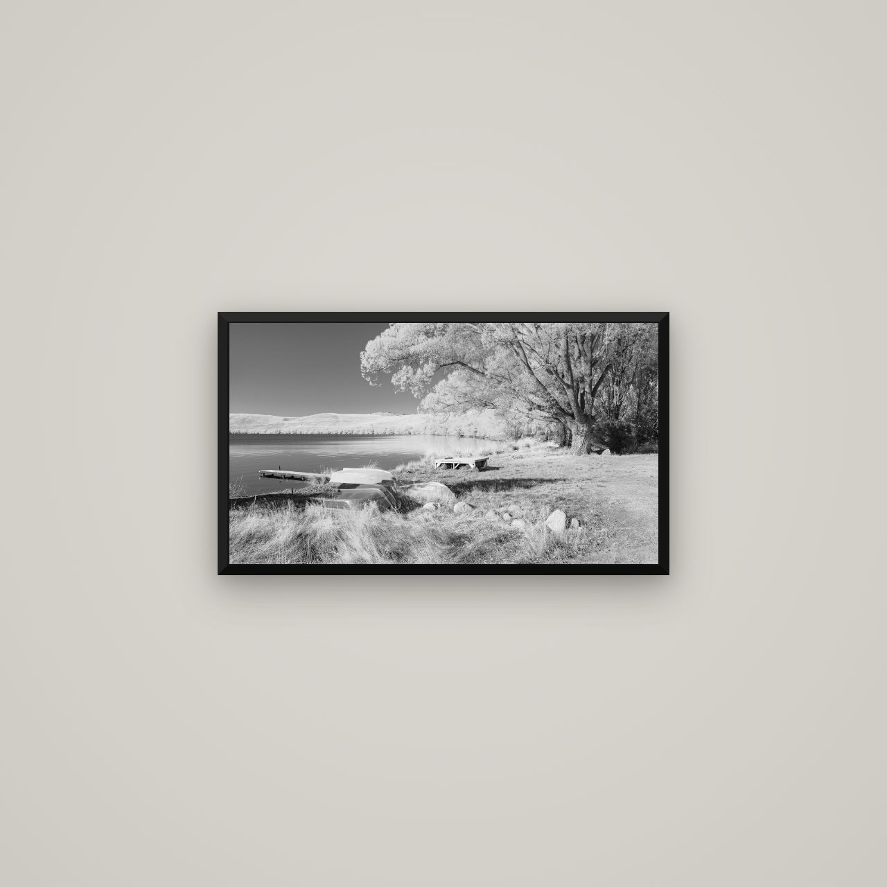 Beneath the Willows, Lake Alexandrina — Basel Black Matte, 64×36 cm. New Zealand fine art wall art by Stephen Milner.