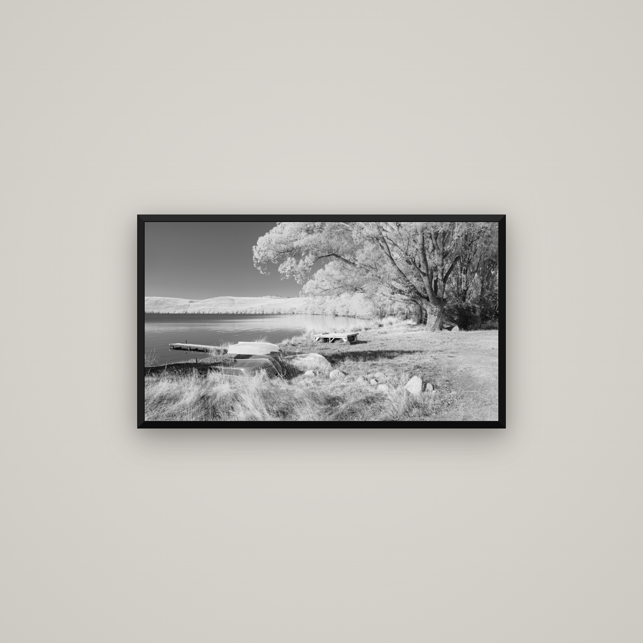 Beneath the Willows, Lake Alexandrina — Basel Black Matte, 80×45 cm. New Zealand fine art wall art by Stephen Milner.
