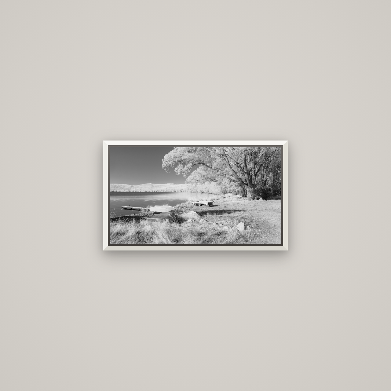 Beneath the Willows, Lake Alexandrina — Basel White, 53×30 cm. New Zealand fine art wall art by Stephen Milner.