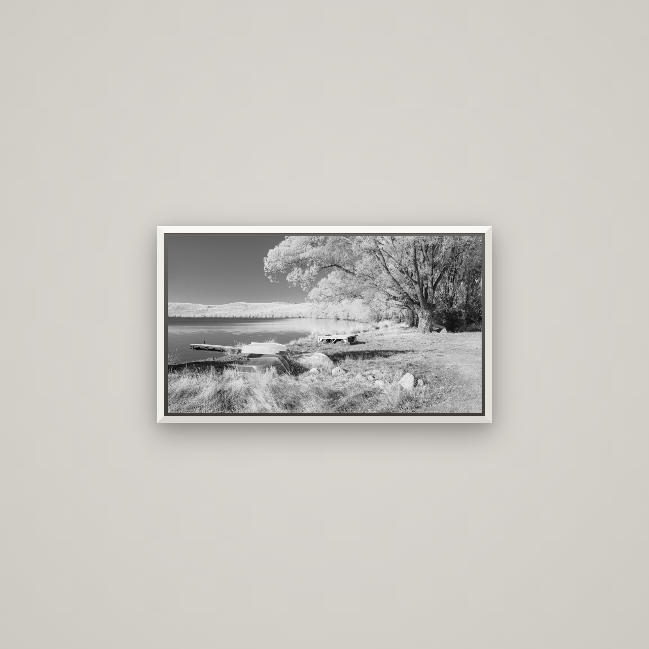 Beneath the Willows, Lake Alexandrina — Basel White, 64×36 cm. New Zealand fine art wall art by Stephen Milner.