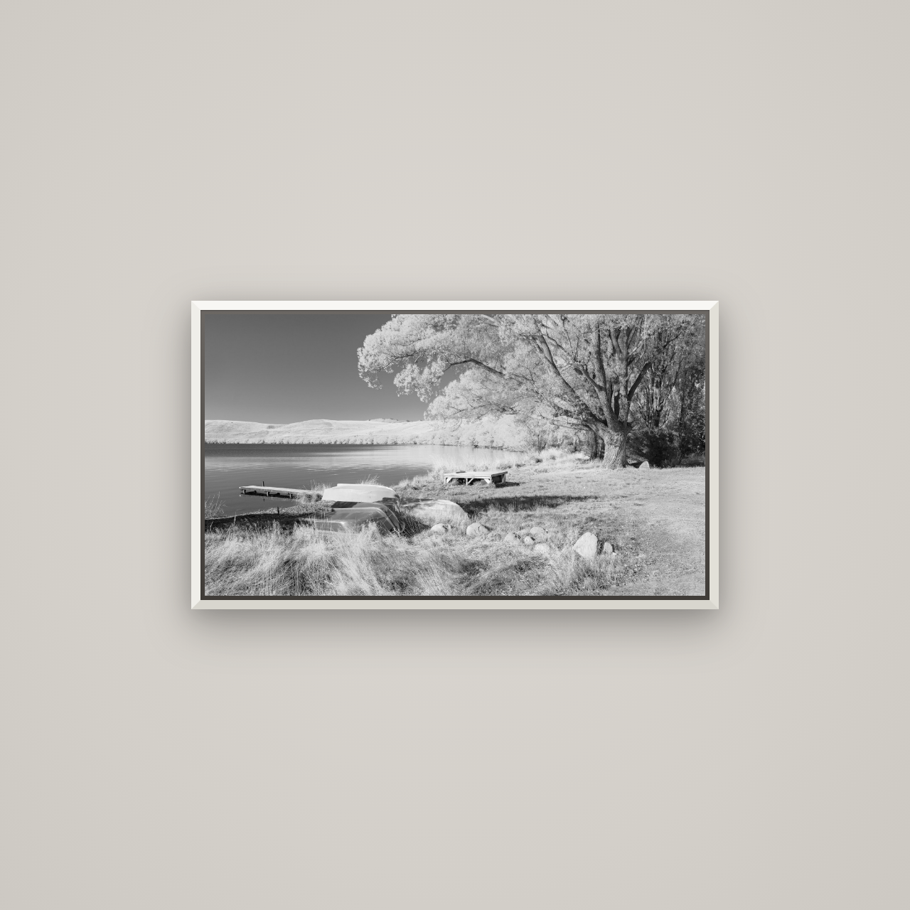 Beneath the Willows, Lake Alexandrina — Basel White, 80×45 cm. New Zealand fine art wall art by Stephen Milner.