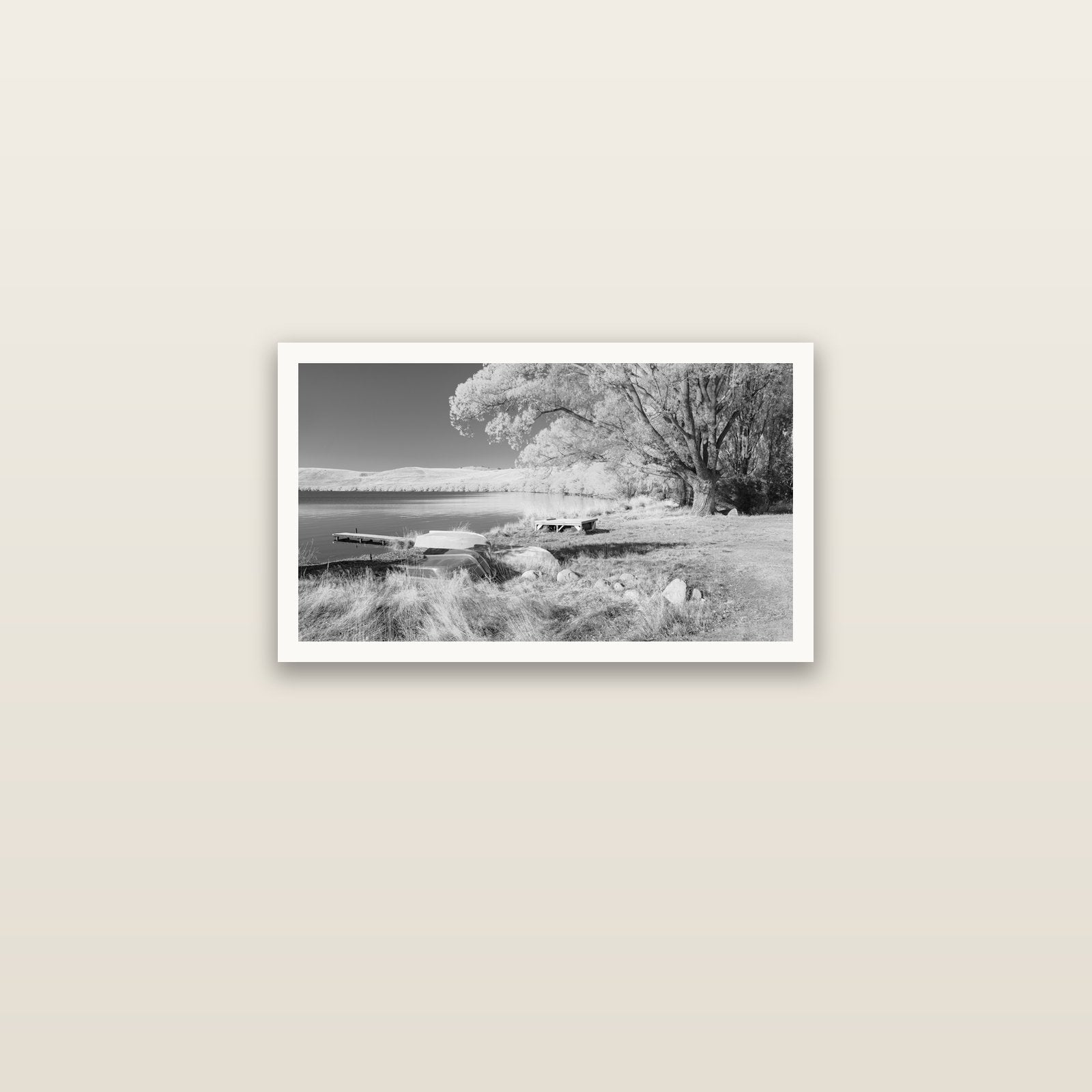 Beneath the Willows, Lake Alexandrina — Hahnemühle fine art print, 61 × 36 cm. New Zealand fine art landscape photography by Stephen Milner.