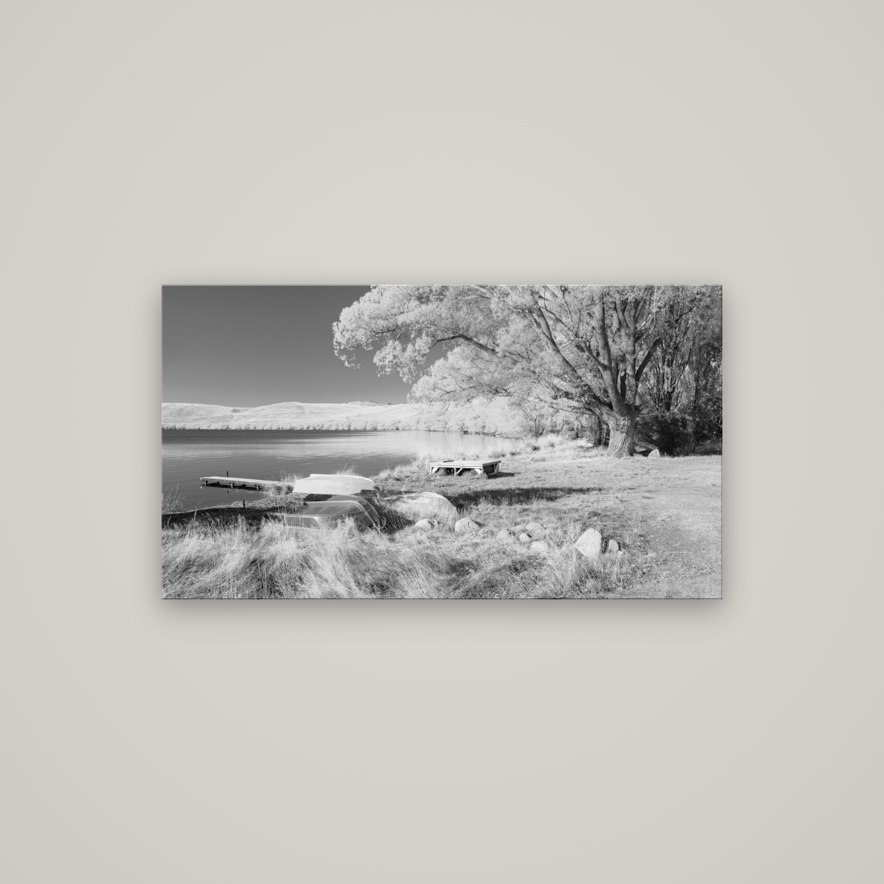Beneath the Willows, Lake Alexandrina — No frame, 107×60 cm. New Zealand fine art wall art by Stephen Milner.