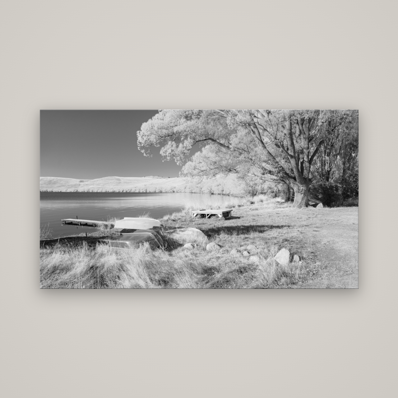Beneath the Willows, Lake Alexandrina — No frame, 160×90 cm. New Zealand fine art wall art by Stephen Milner.