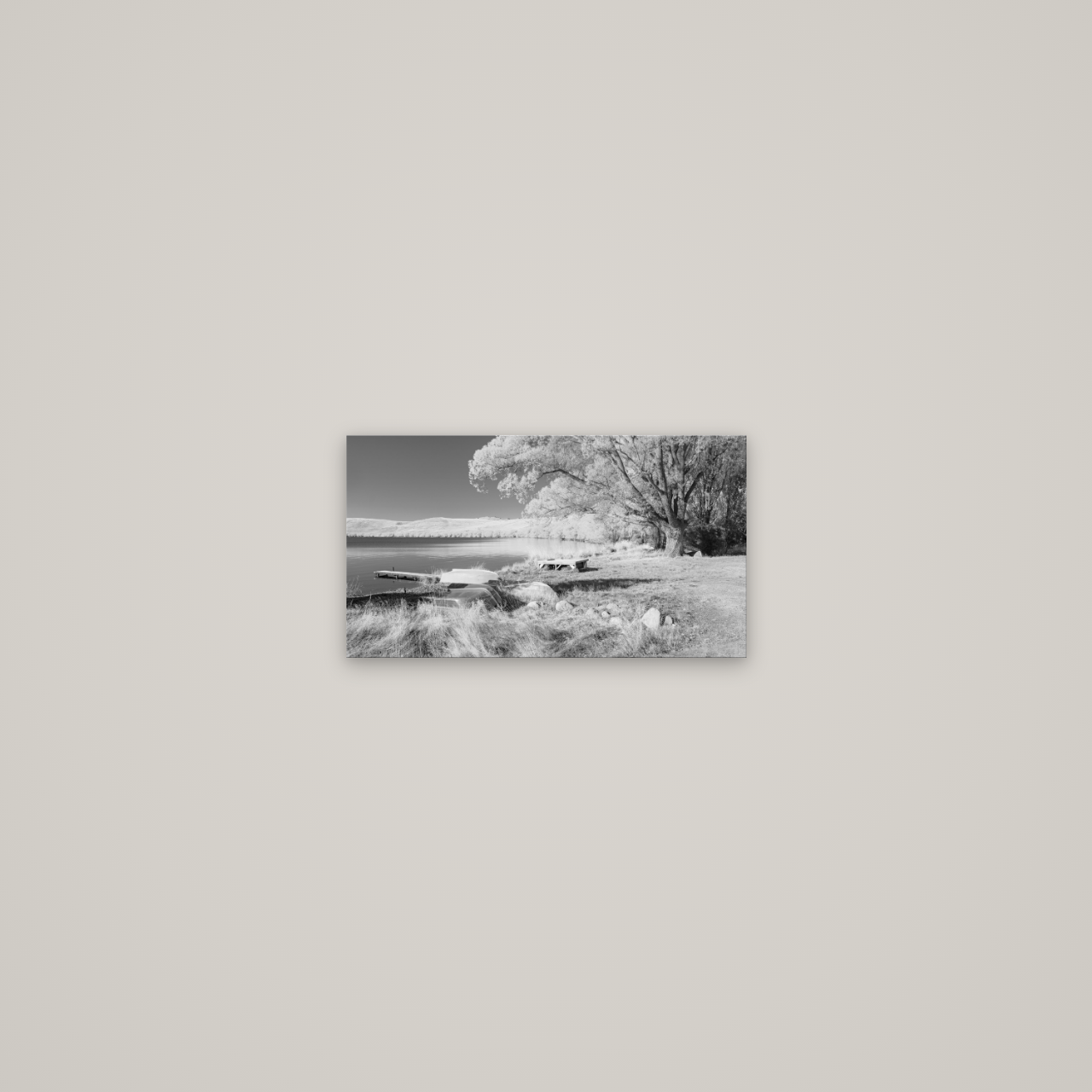 Beneath the Willows, Lake Alexandrina — No frame, 36×20 cm. New Zealand fine art wall art by Stephen Milner.