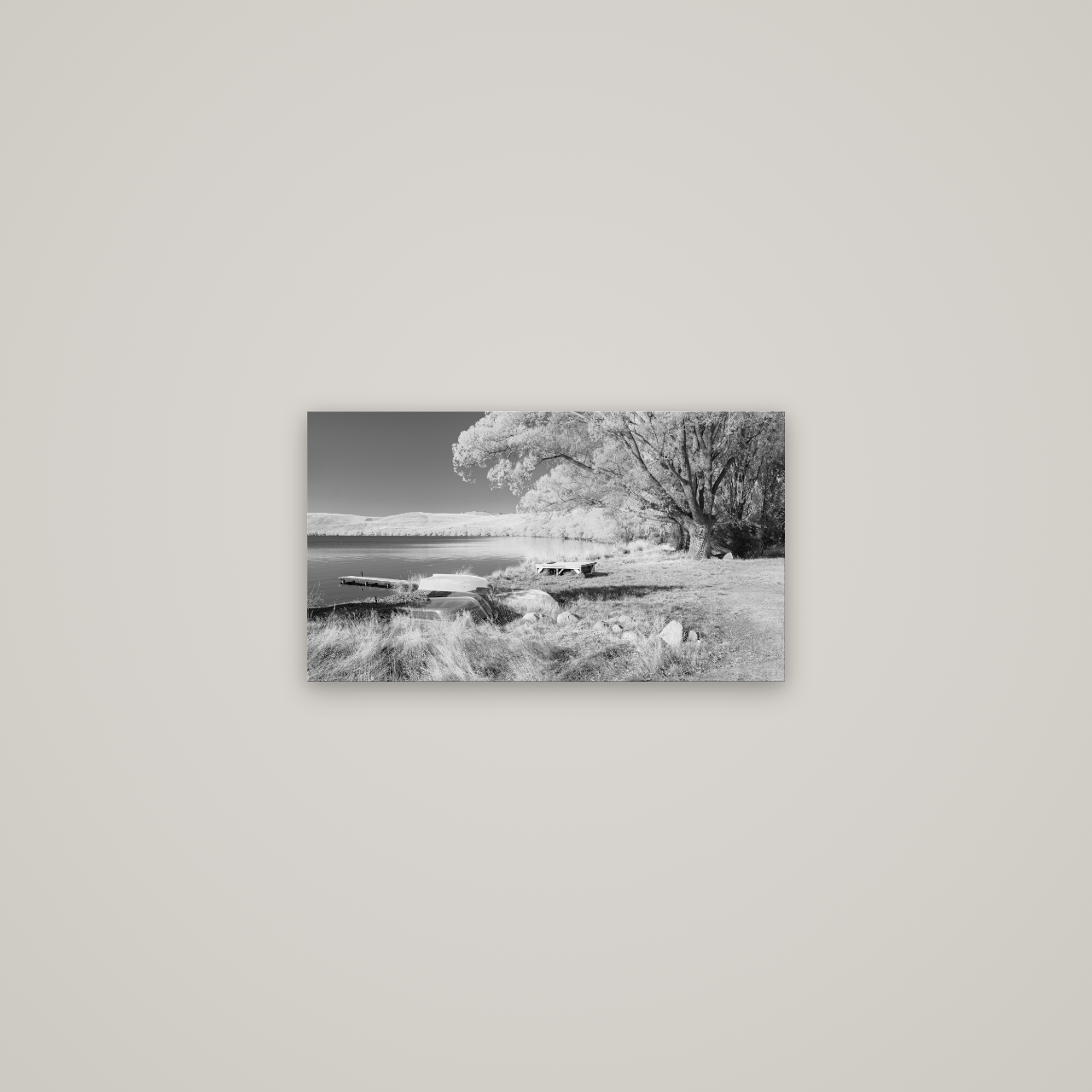 Beneath the Willows, Lake Alexandrina — No frame, 53×30 cm. New Zealand fine art wall art by Stephen Milner.