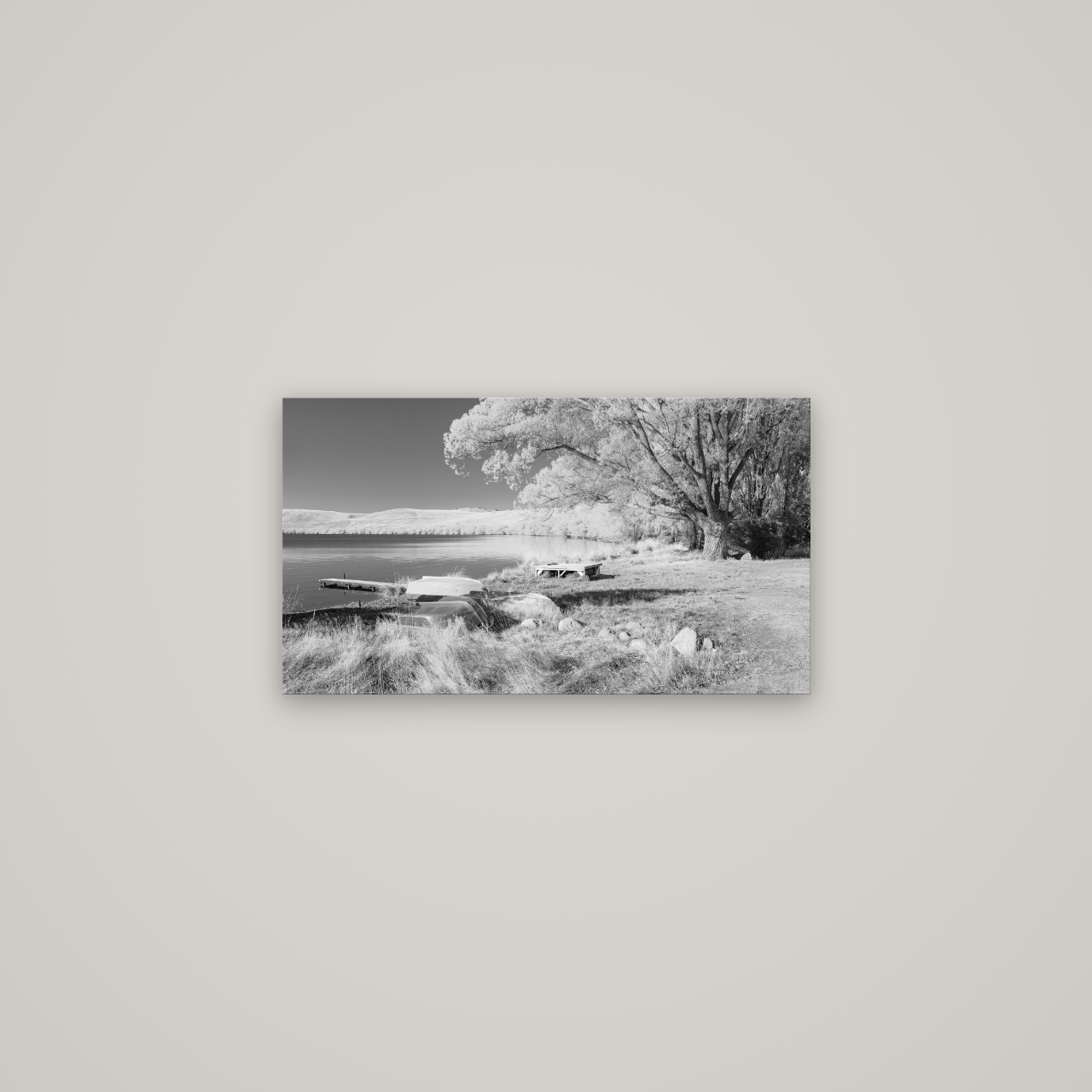 Beneath the Willows, Lake Alexandrina — No frame, 64×36 cm. New Zealand fine art wall art by Stephen Milner.