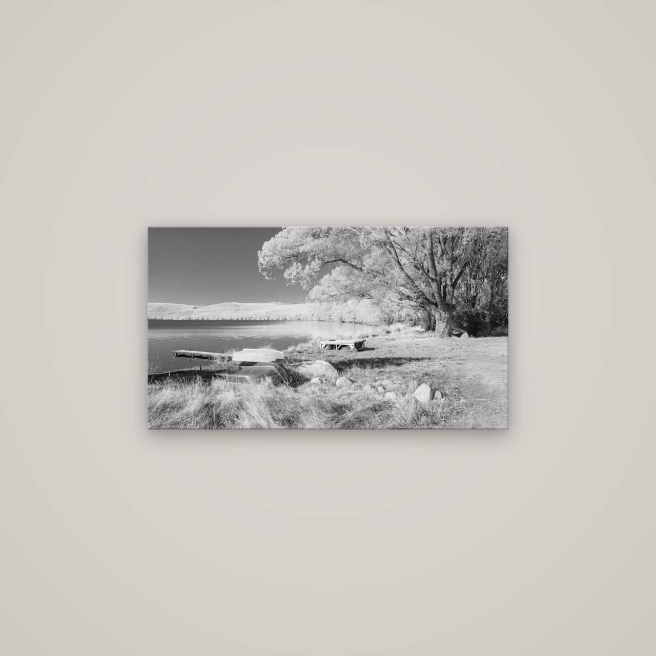 Beneath the Willows, Lake Alexandrina — No frame, 80×45 cm. New Zealand fine art wall art by Stephen Milner.