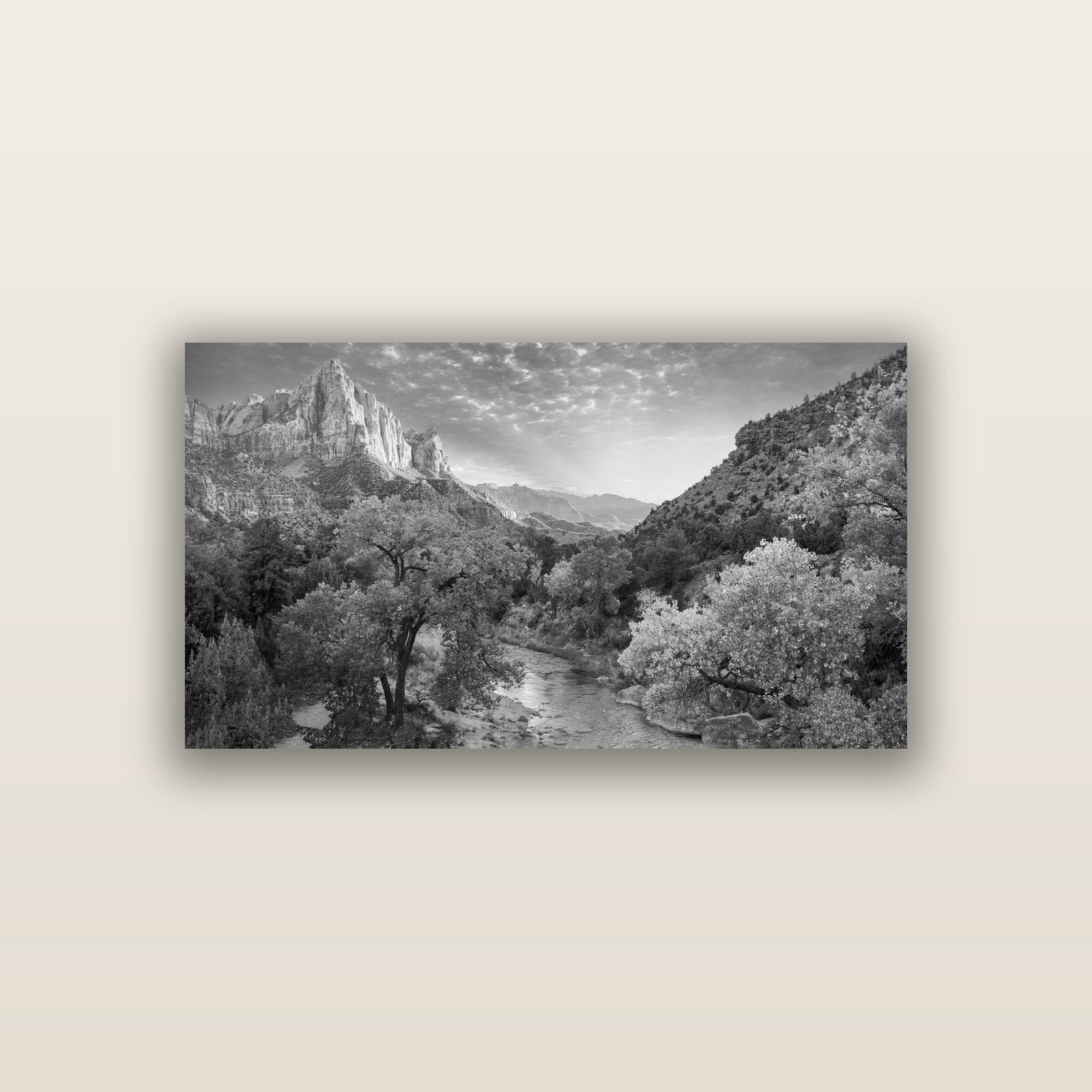 Canyon Evening, Zion National Park — acrylic panel print, small 76 × 38 cm. New Zealand fine art landscape wall art by Stephen Milner.