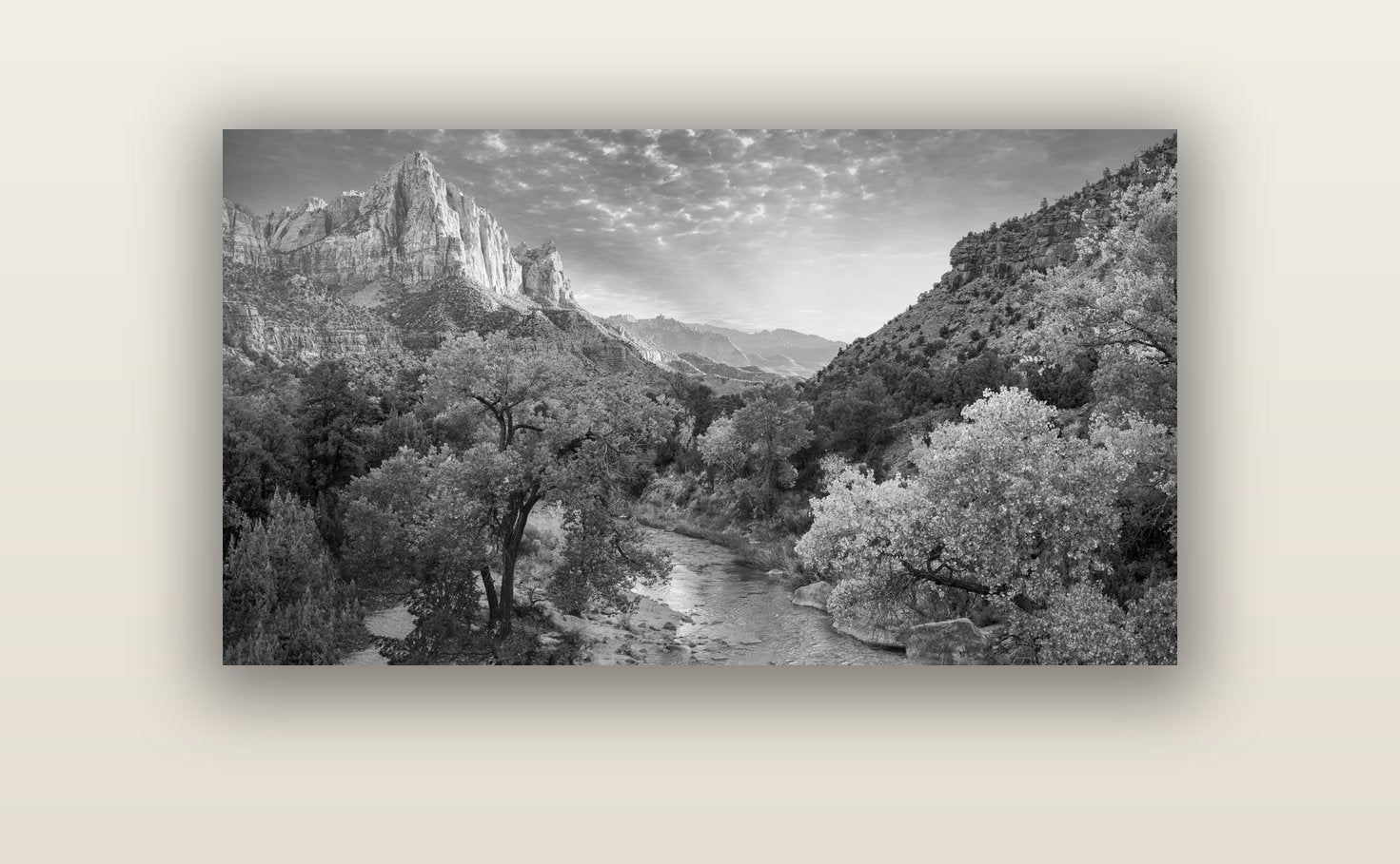 Canyon Evening, Zion National Park — acrylic glass print, 122 × 61 cm. New Zealand fine art landscape wall art by Stephen Milner.