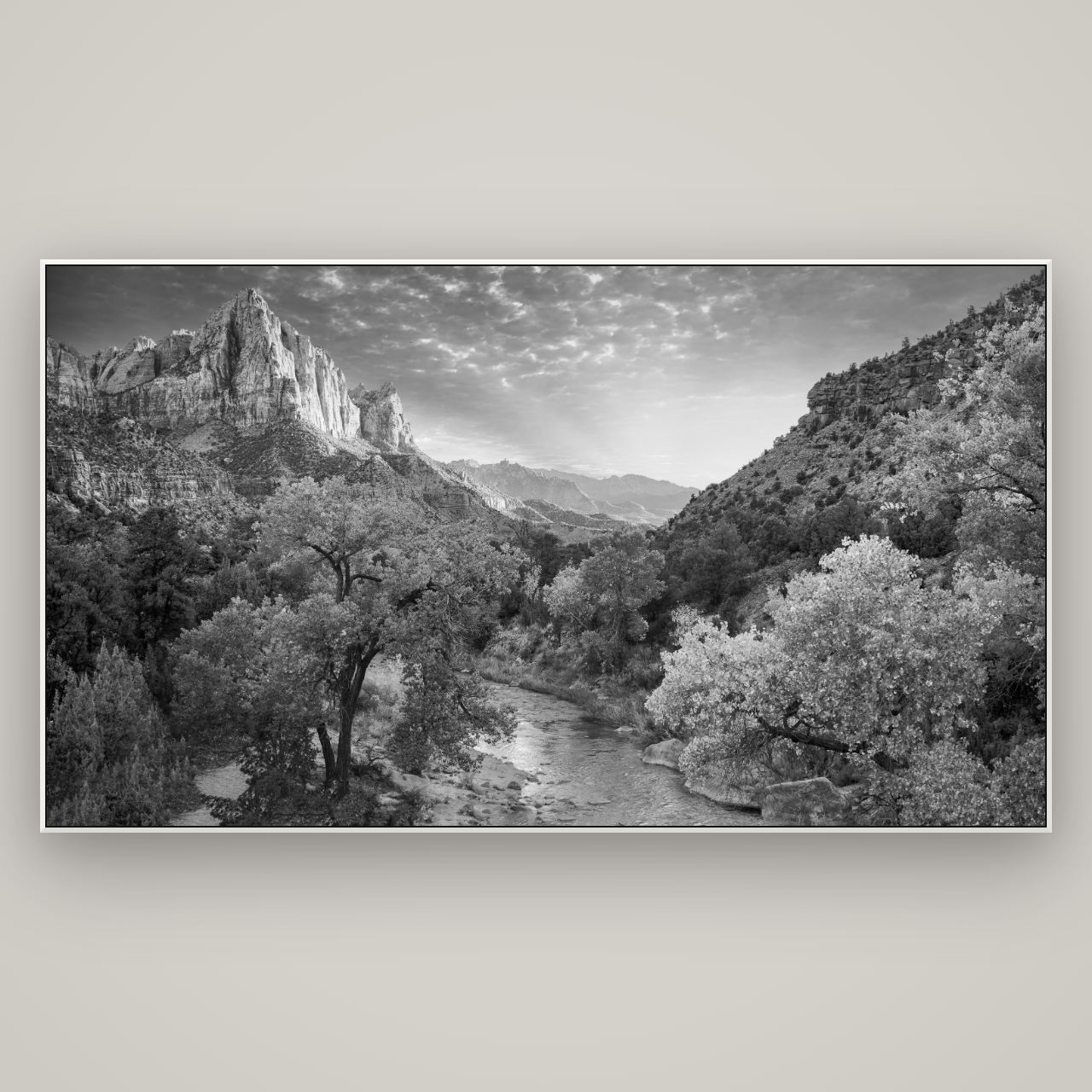 Canyon Evening, Zion National Park — ArtBox White, 196×110 cm. New Zealand fine art wall art by Stephen Milner.
