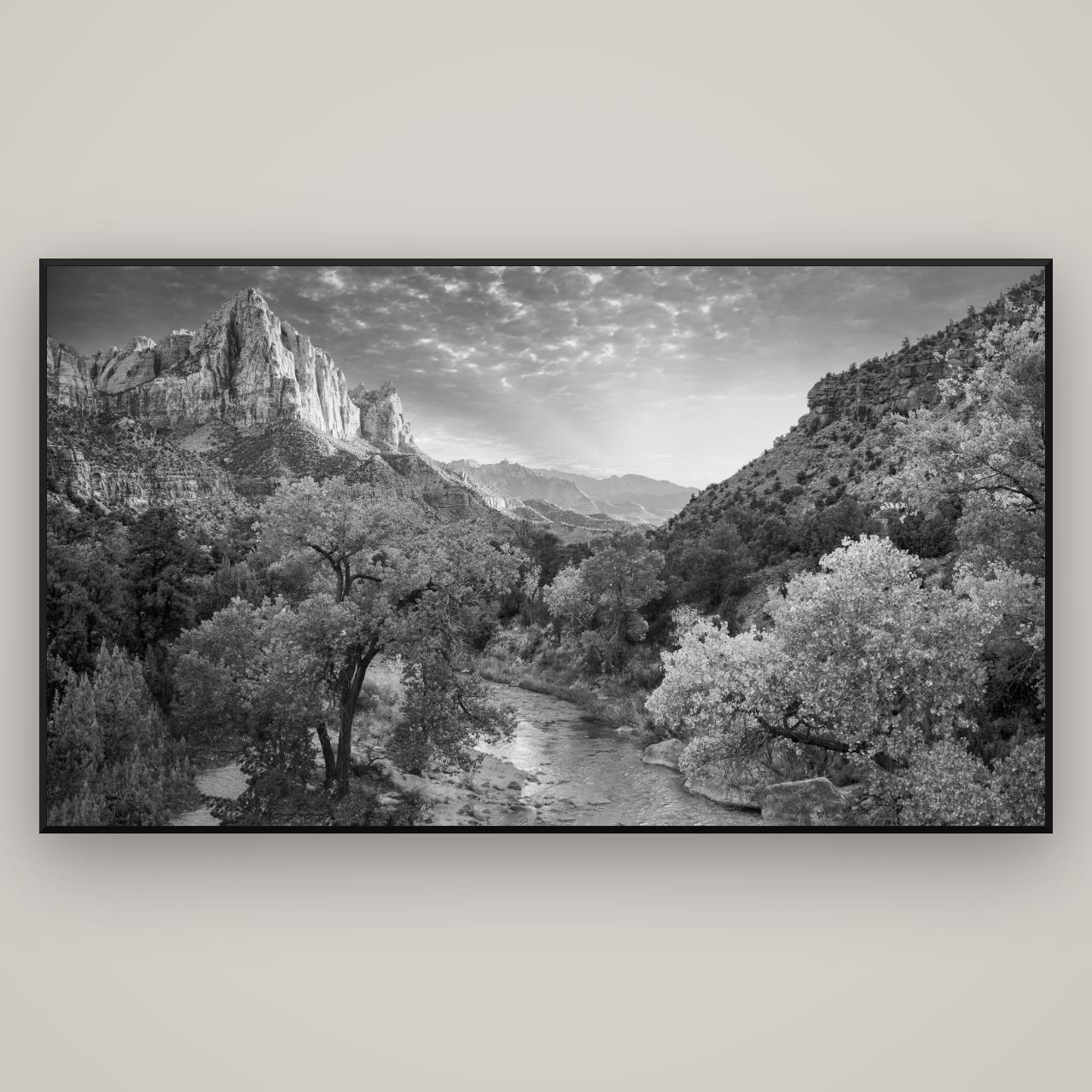 Canyon Evening, Zion National Park — Basel Black, 196×110 cm. New Zealand fine art wall art by Stephen Milner.